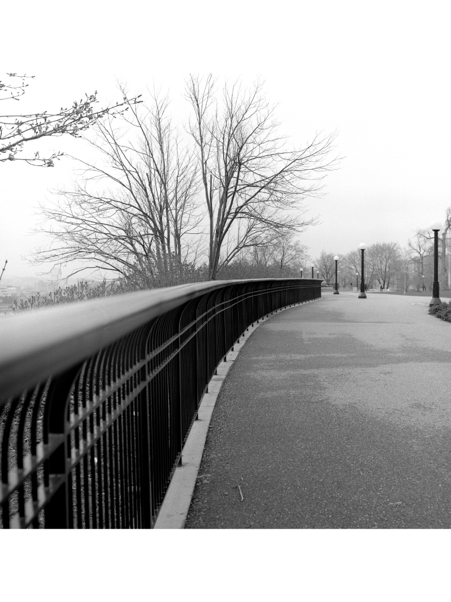 Jordan Craig, Railing-1