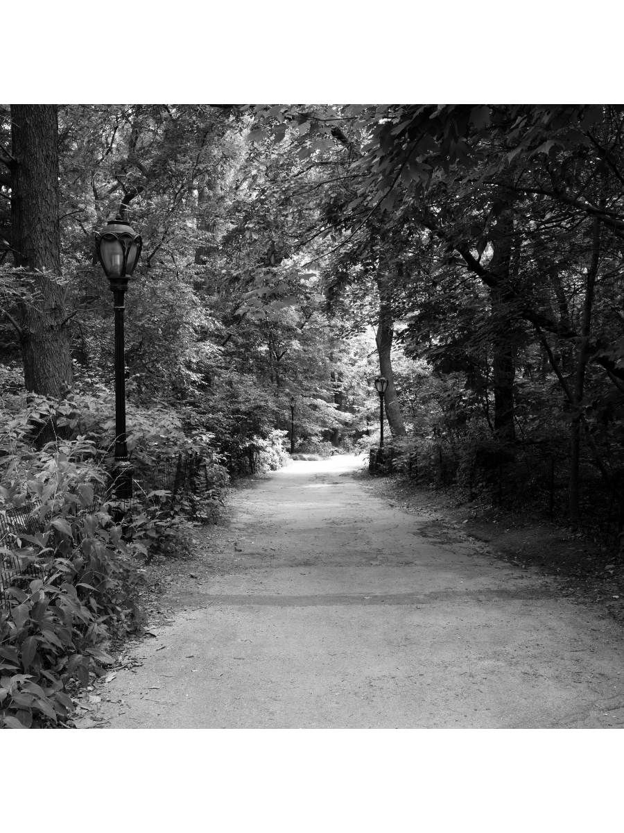 Jordan Craig, Rambling Path-1