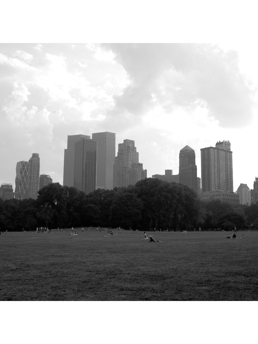 Jordan Craig, Sheep's Meadow-1
