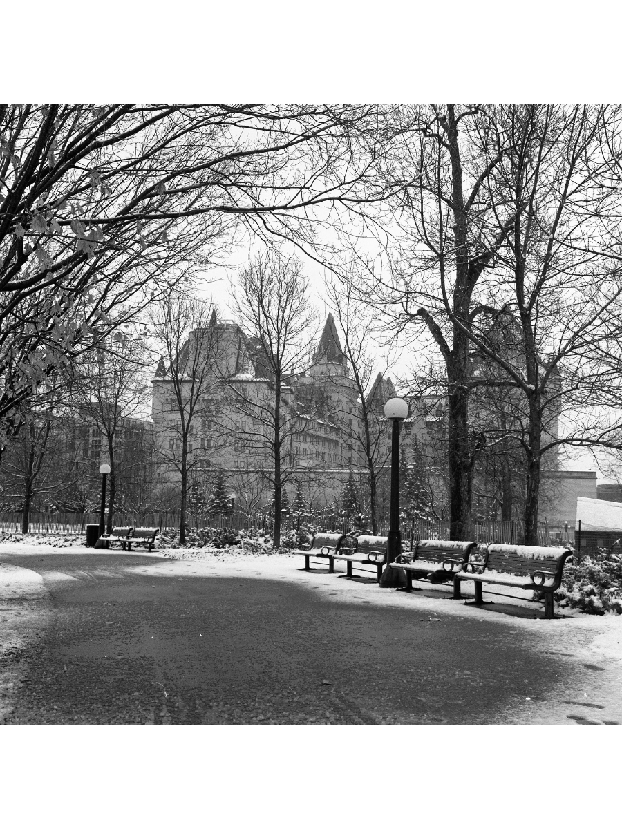 Jordan Craig, Snowy Benches-1