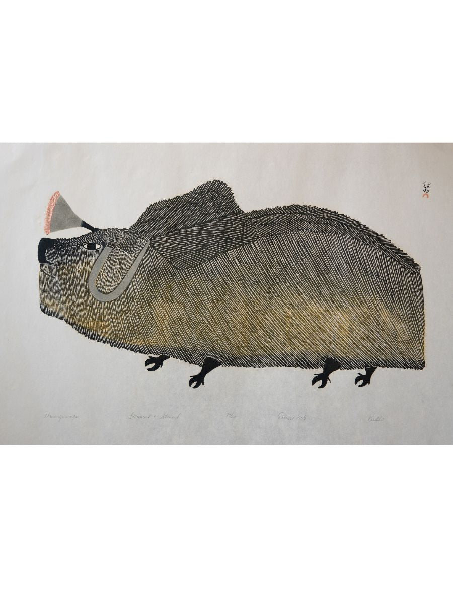 Umingmunga, Pudlo Pudlat (Inuit, Kinngait)-2