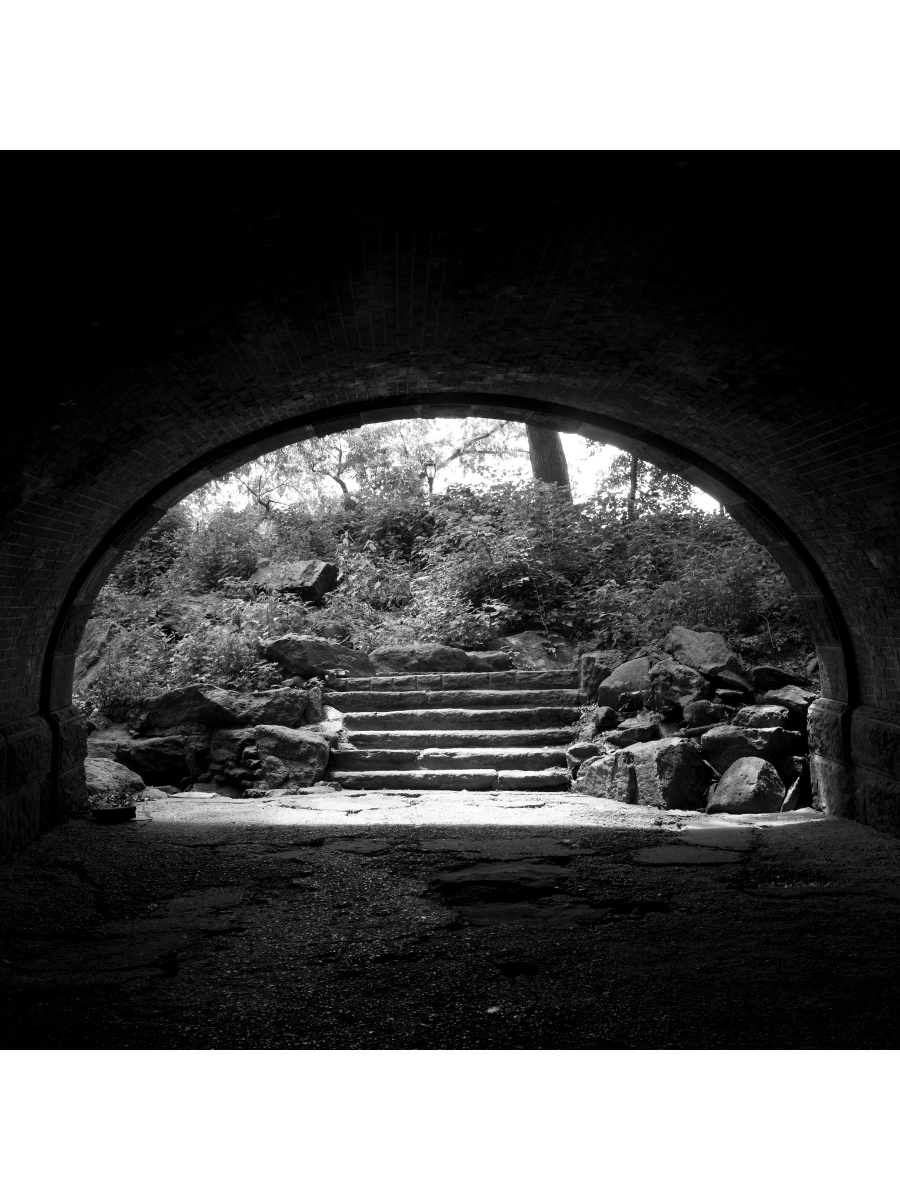 Jordan Craig, Under Bridge in Central Park-1