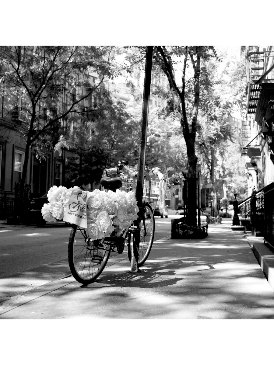 Jordan Craig, Village Bicycle