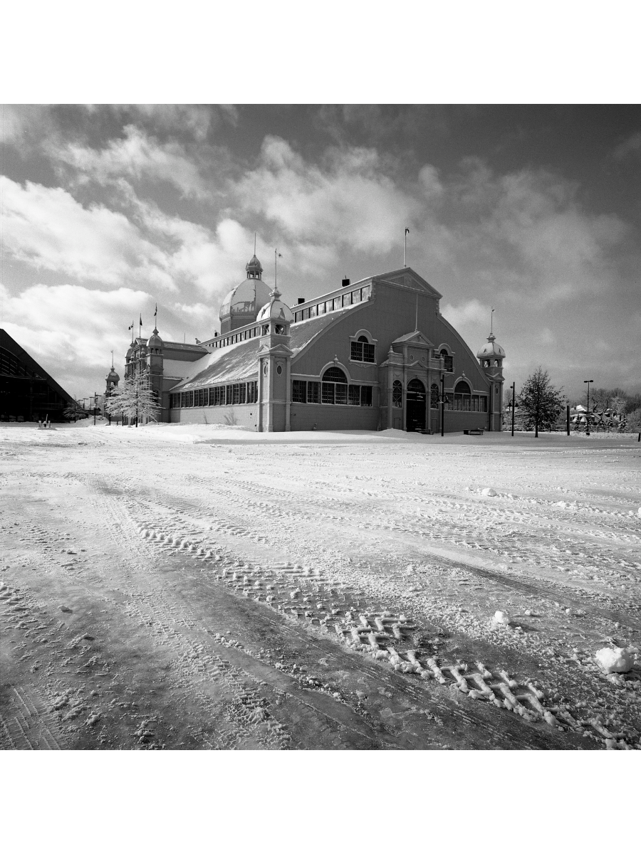 Jordan Craig, Winter Cattle Castle-1