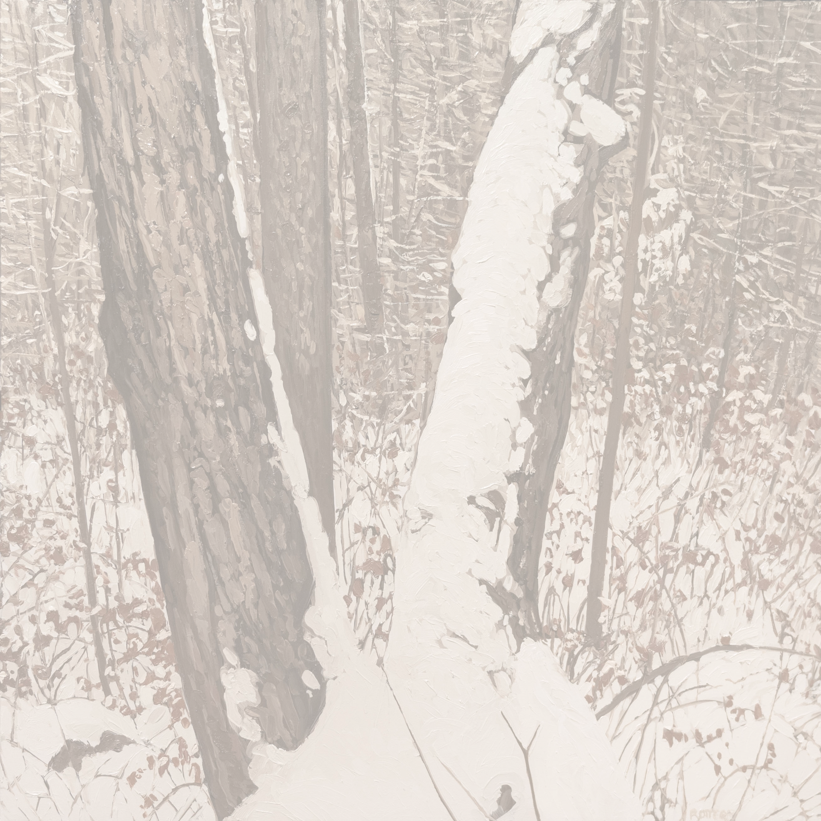 ACQUIRED | Peter Rotter, First Snow-1