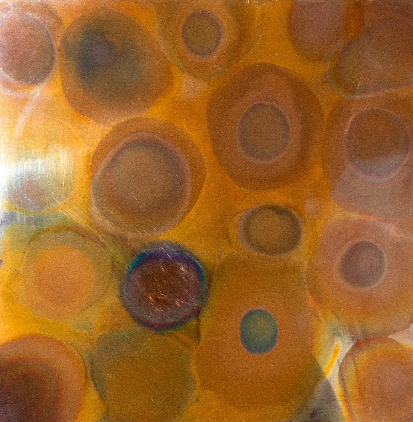 Mark Vidalin, Black Sheep