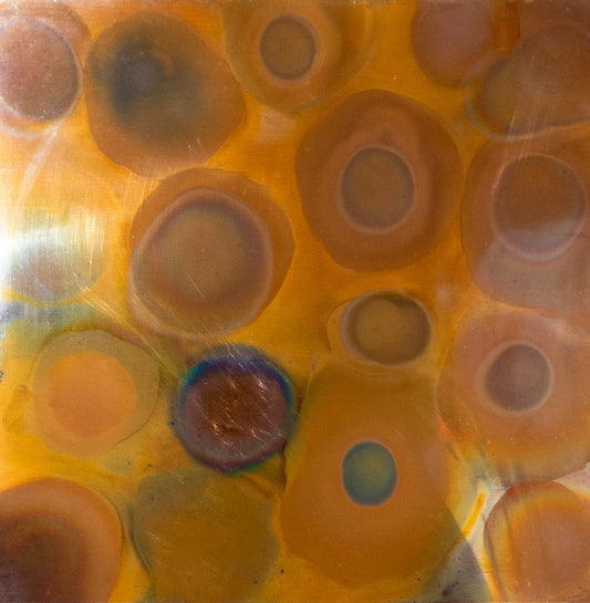 Mark Vidalin, Black Sheep