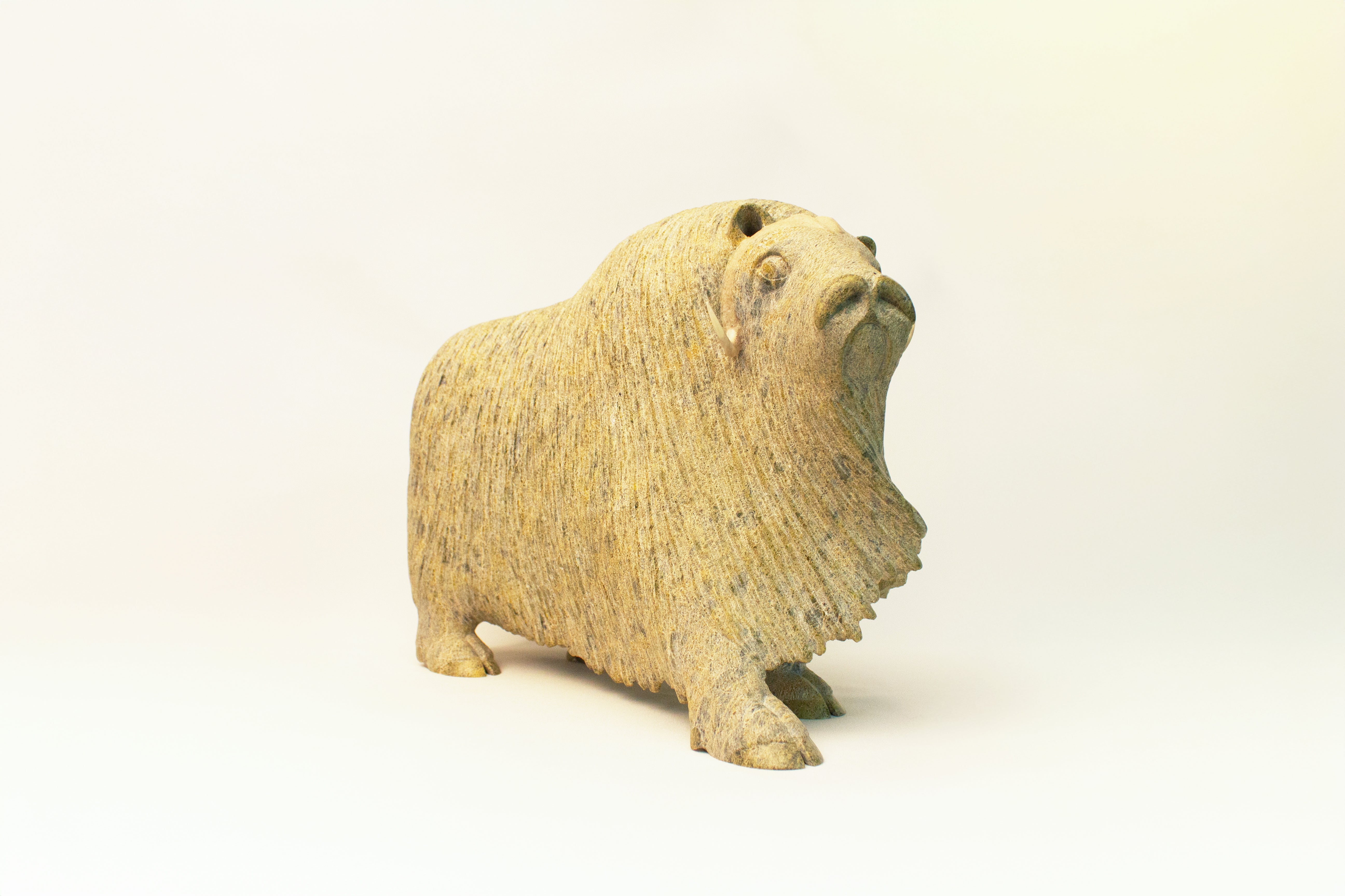 Muskox, Lucassie Ikkidluak (Inuit, Kimmirut)-4