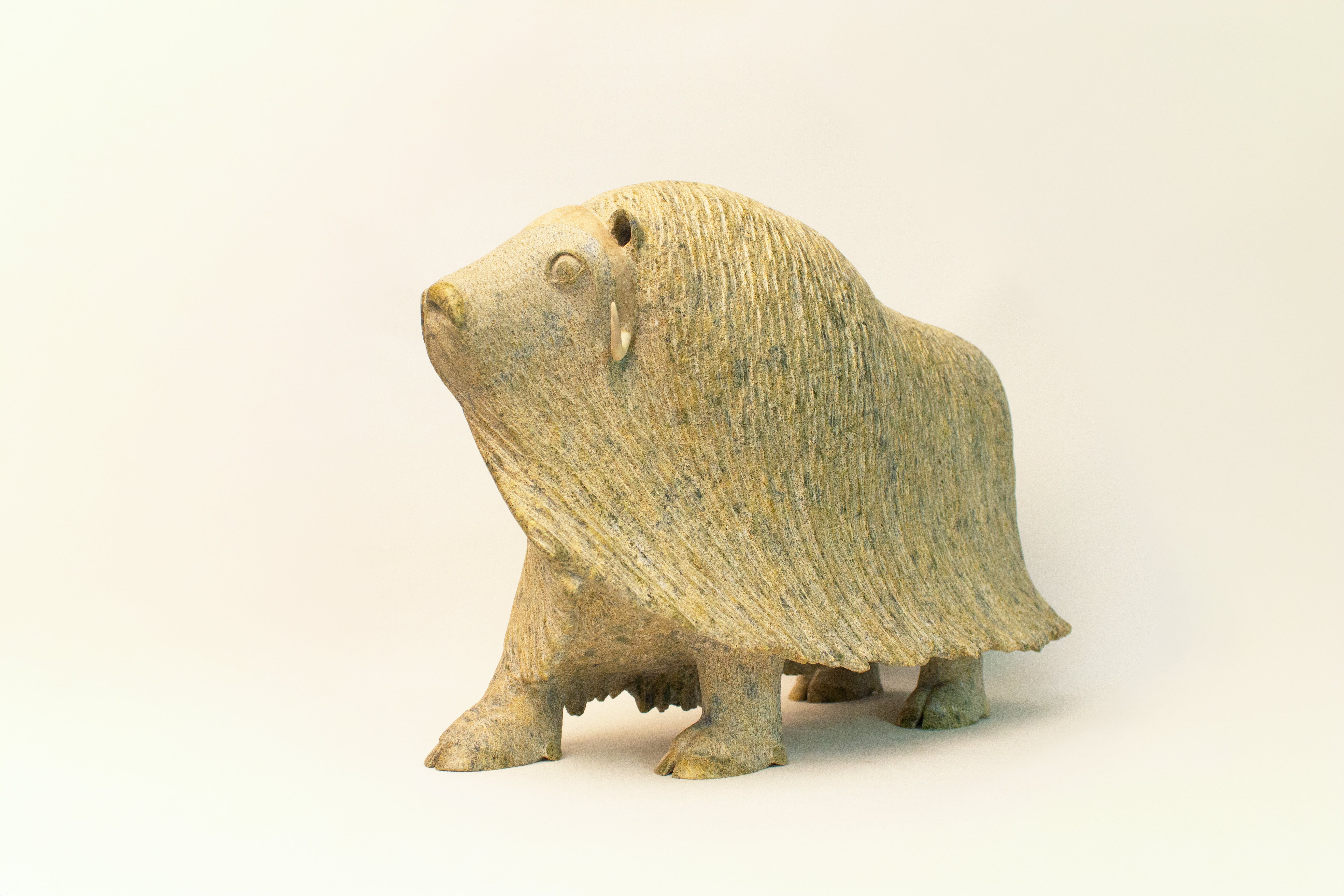 Muskox, Lucassie Ikkidluak (Inuit, Kimmirut)-7