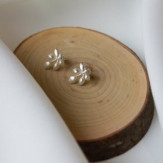 Andrea Mueller, Quintet Stud