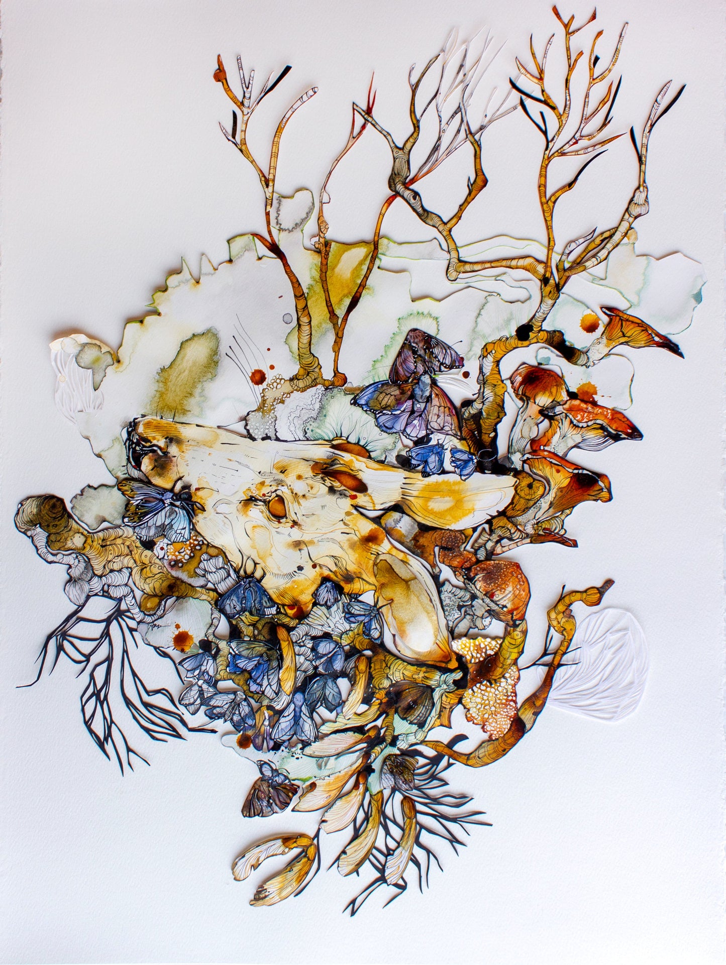 Ariane Beauchamp, Between Roots and Wings
