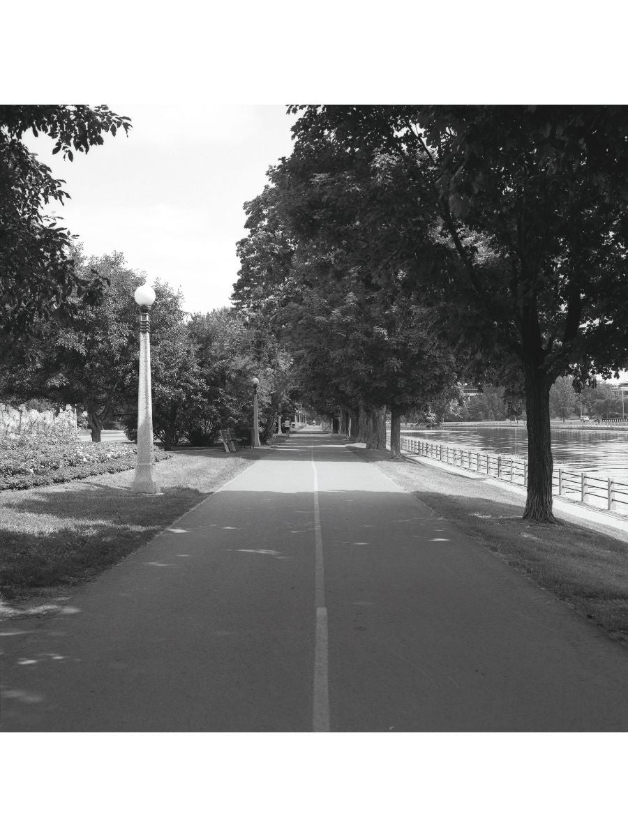 Jordan Craig, Bicycle Path-1