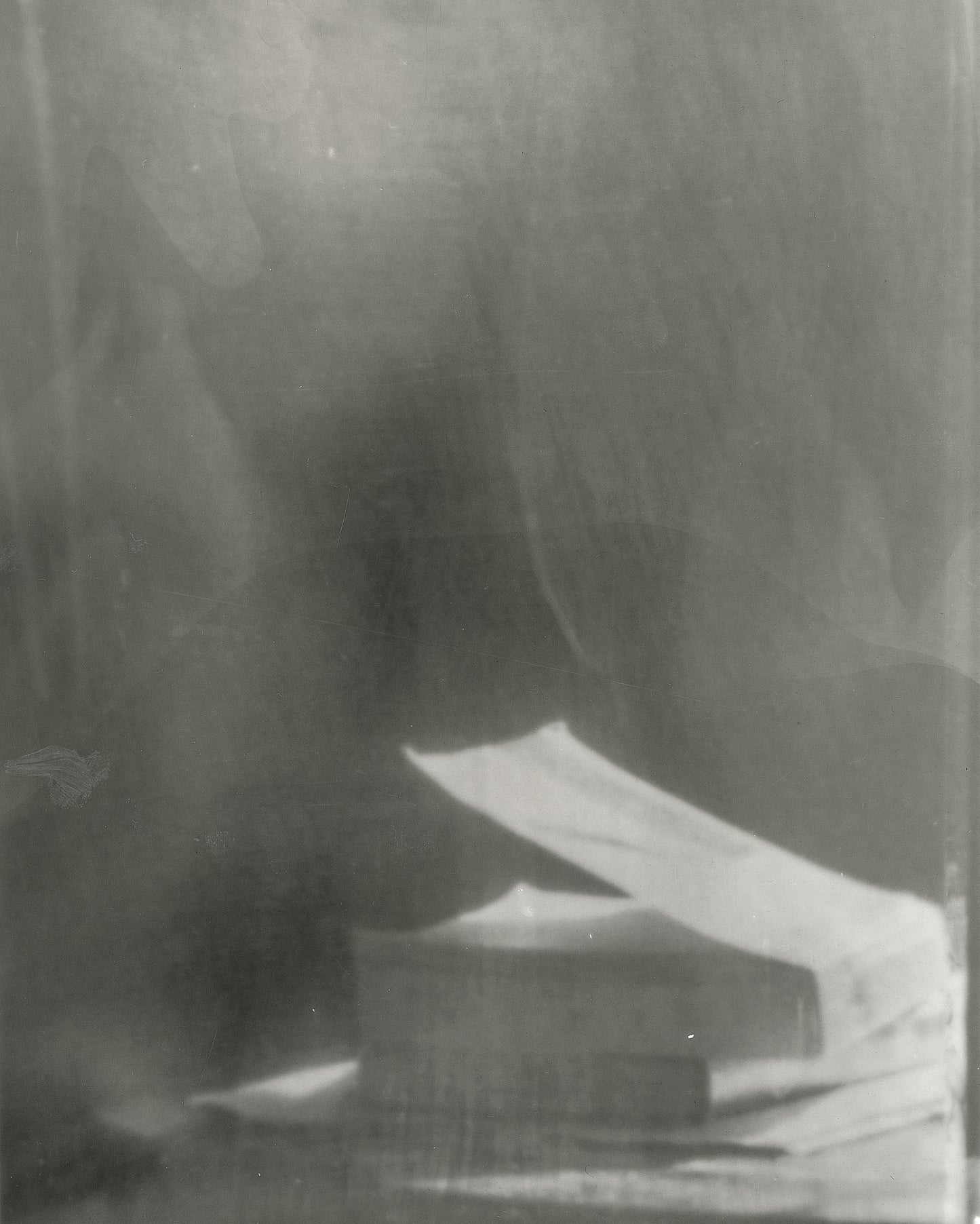 Joy Kardish, Book