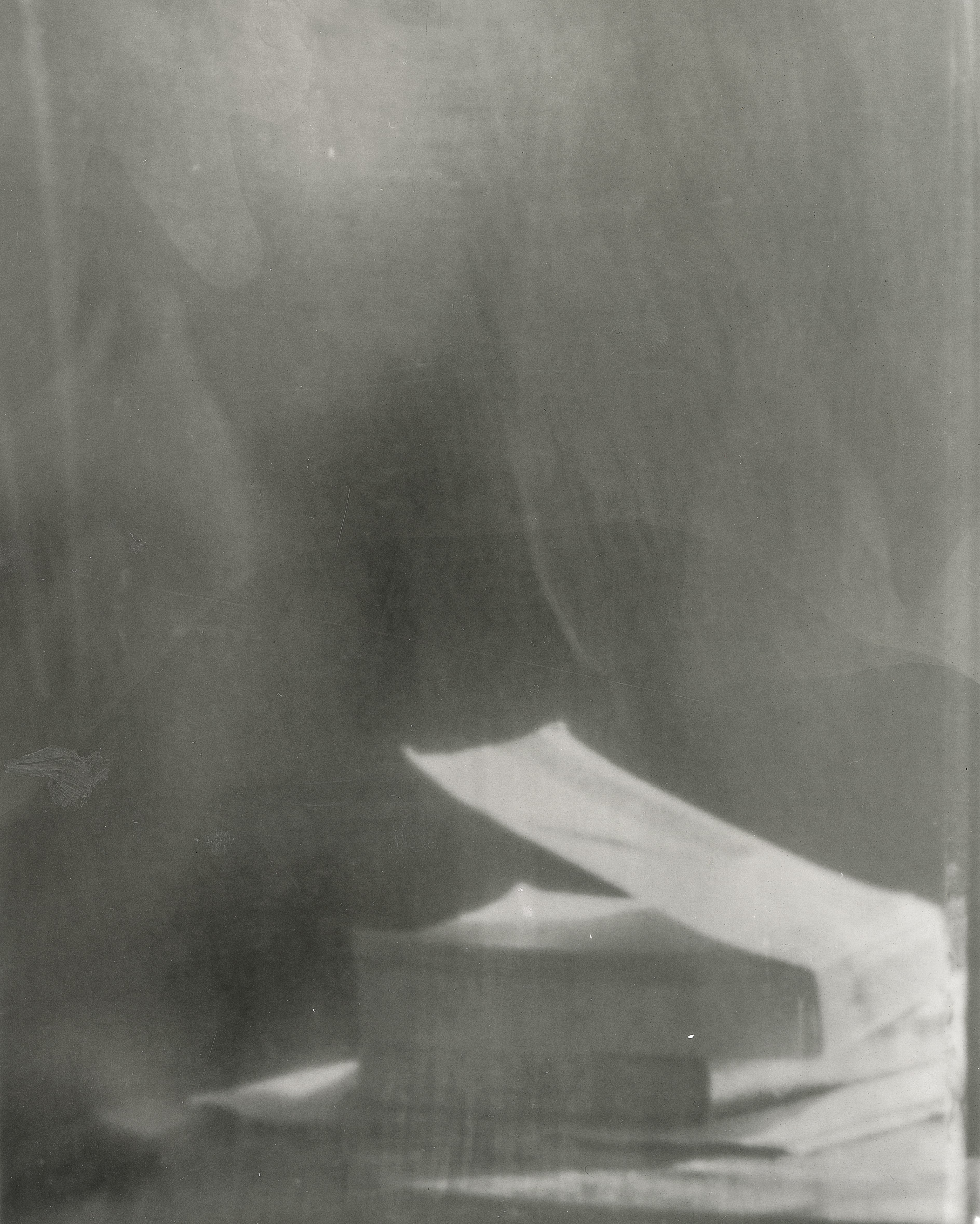Joy Kardish, Book