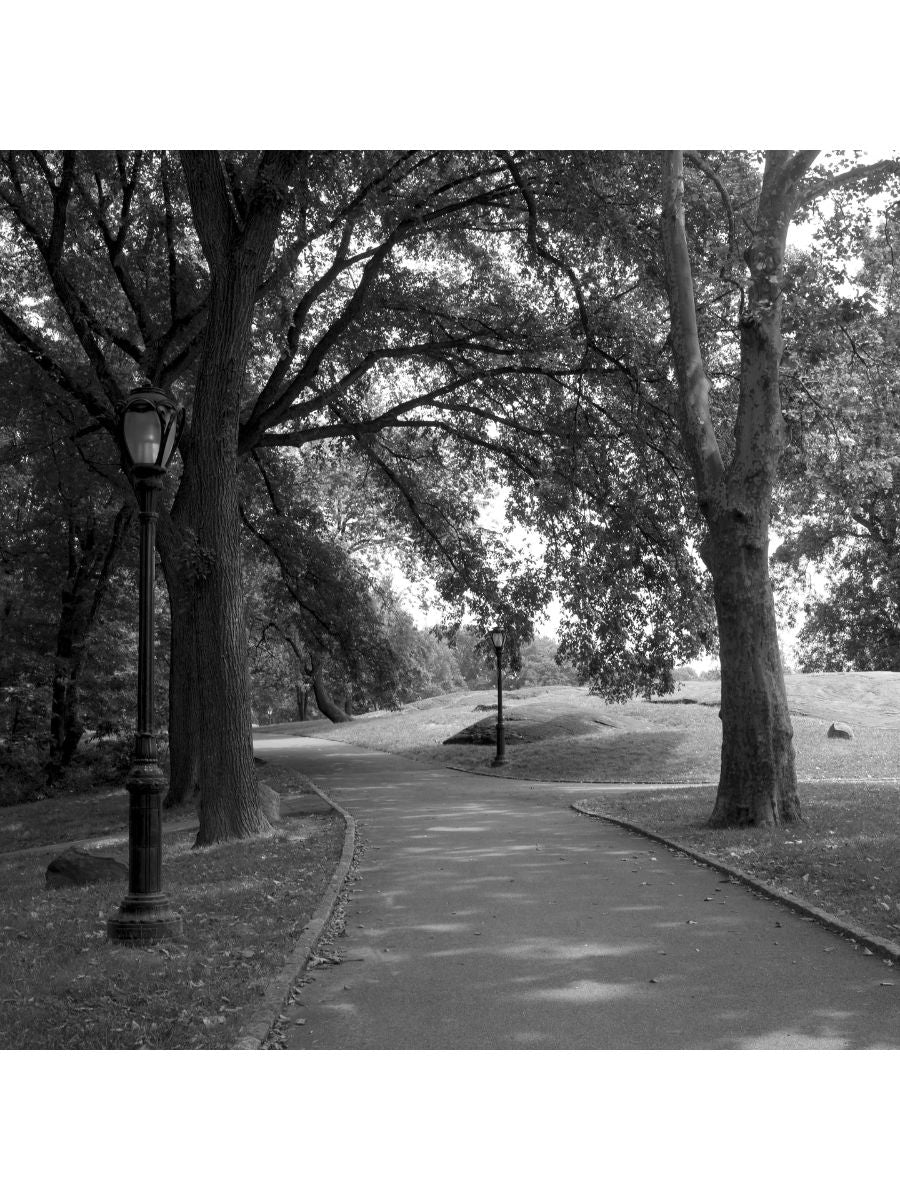 Jordan Craig, Central Park Path-1