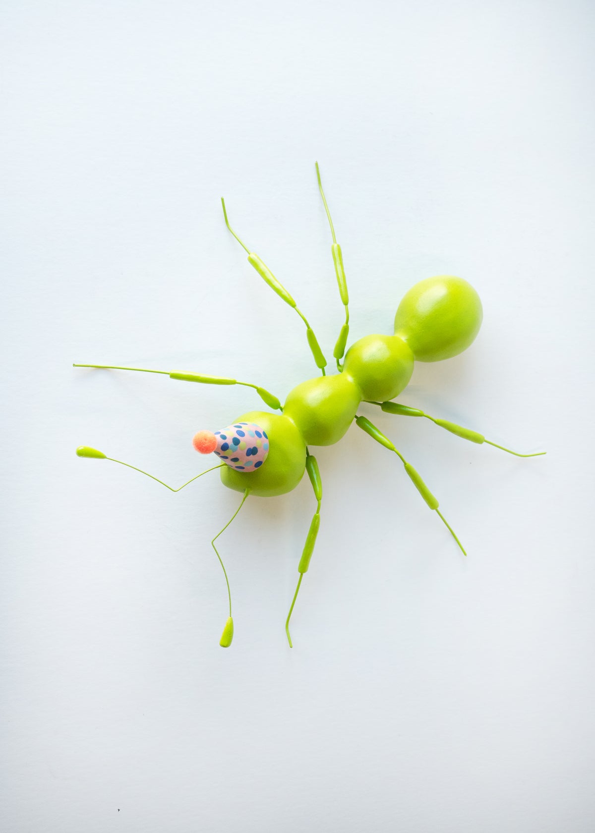 Dauma Stirbyte, Green Party Ant