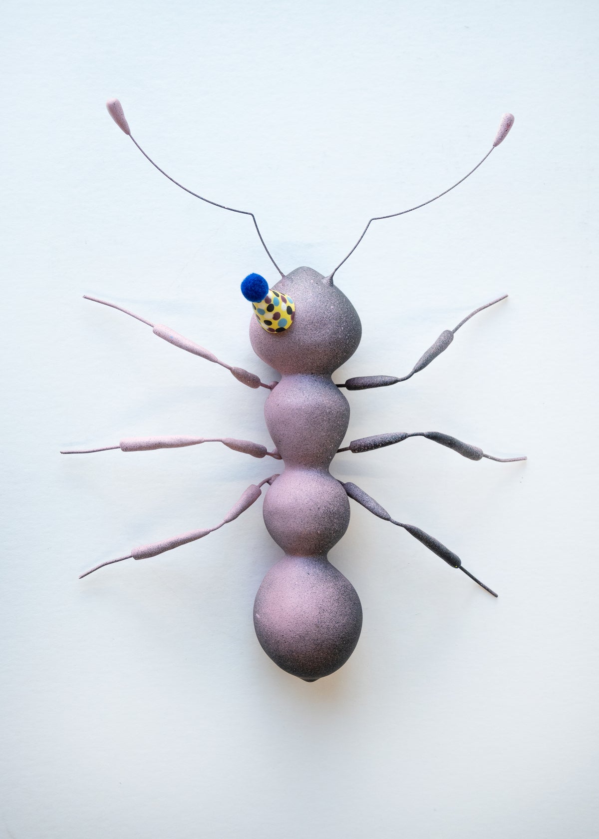 Dauma Stirbyte, Purple Party Ant