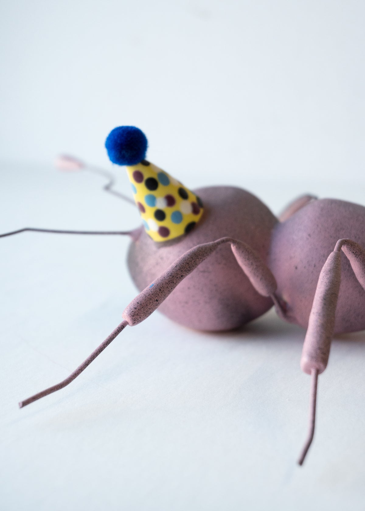 Dauma Stirbyte, Purple Party Ant-2