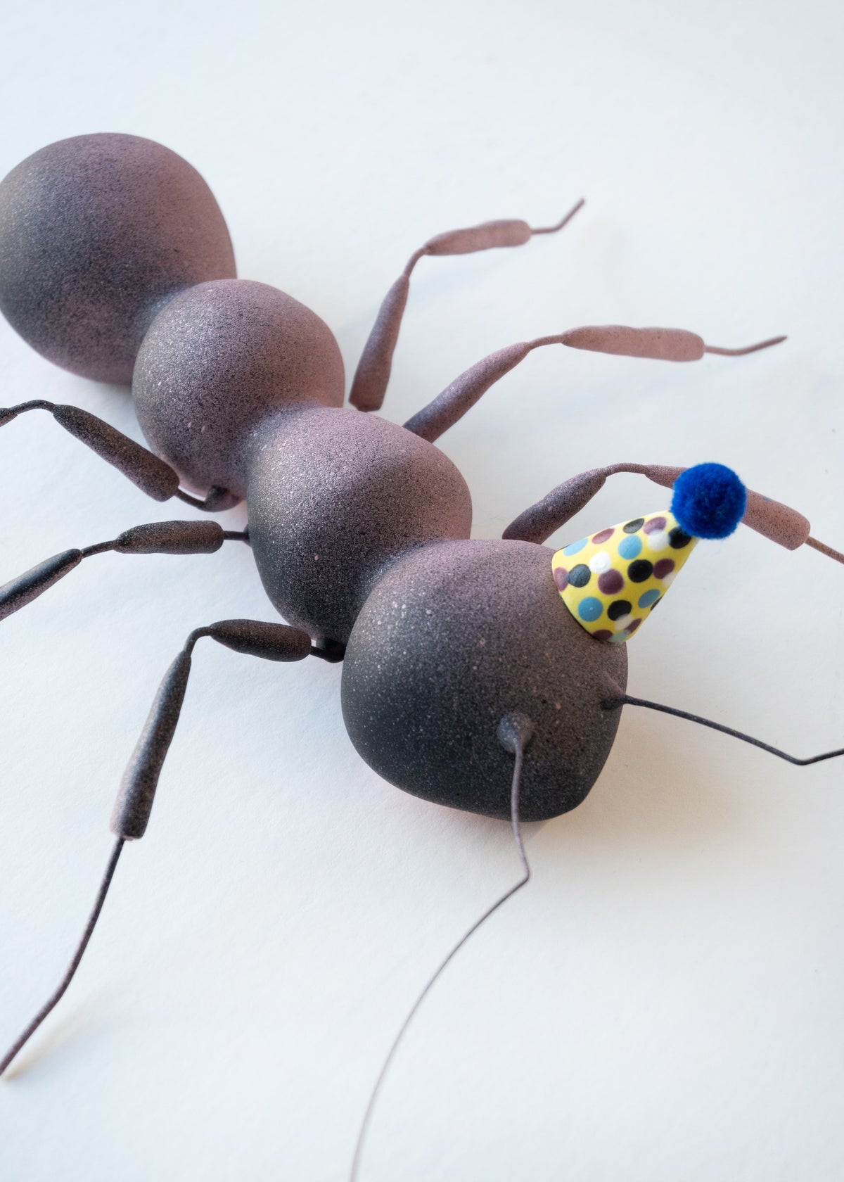 Dauma Stirbyte, Purple Party Ant-3
