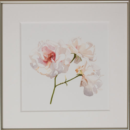 Brigitte Klassen, La beauté au naturel