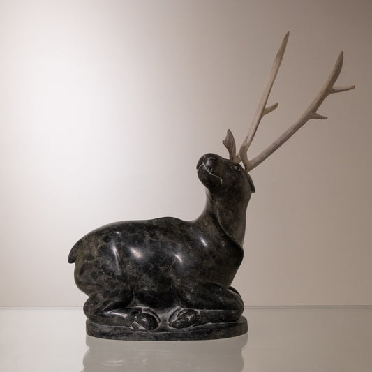 Unidentified Artist, Antler
