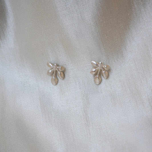 Andrea Mueller, Quintet Stud