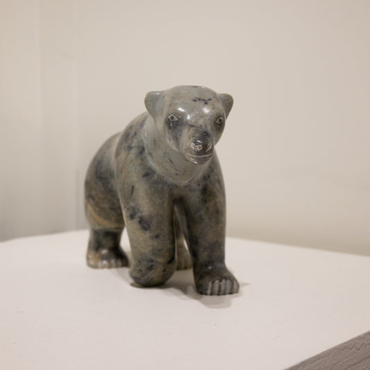 Pitsiuluk Michael, Bear