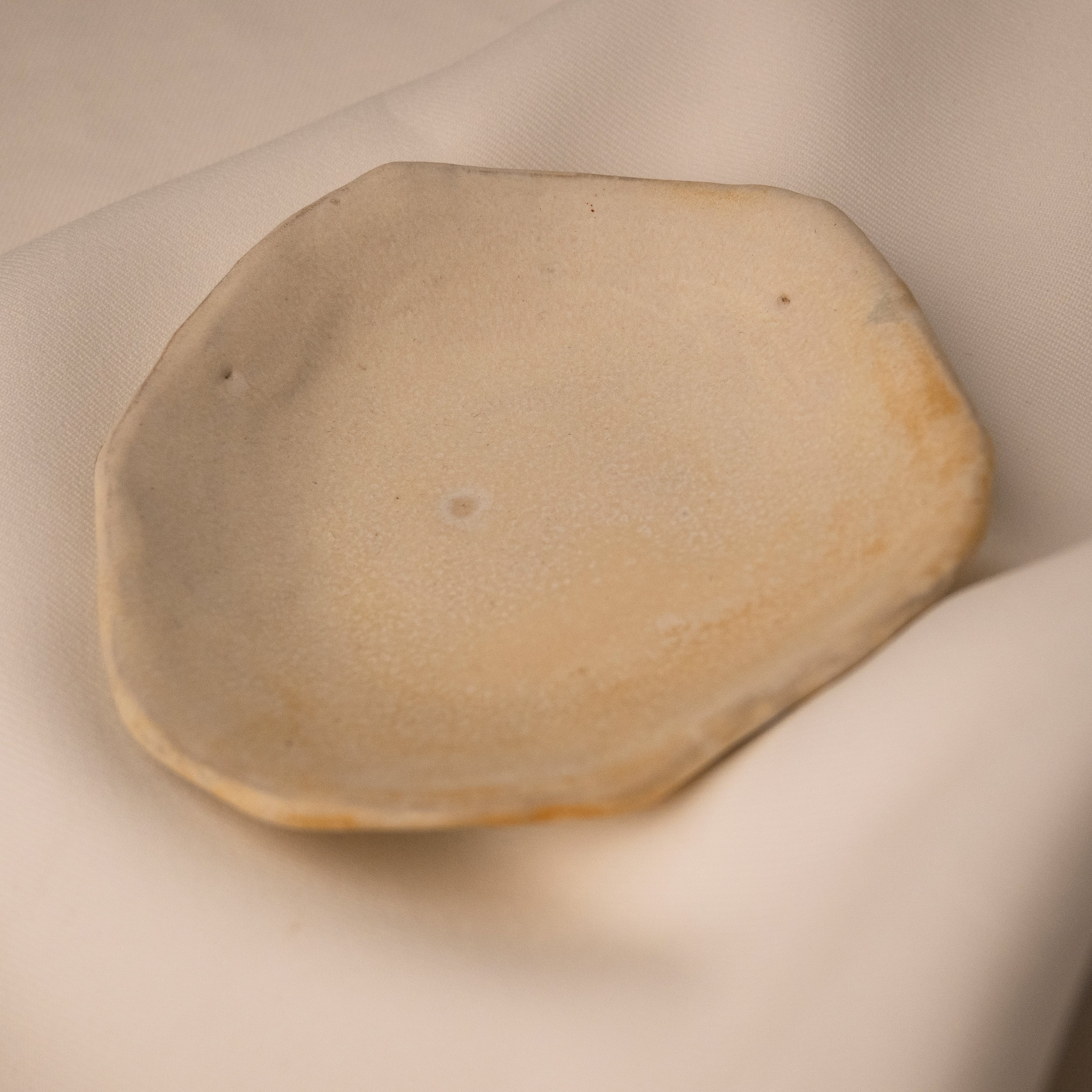 Heidi Conrod, Dish