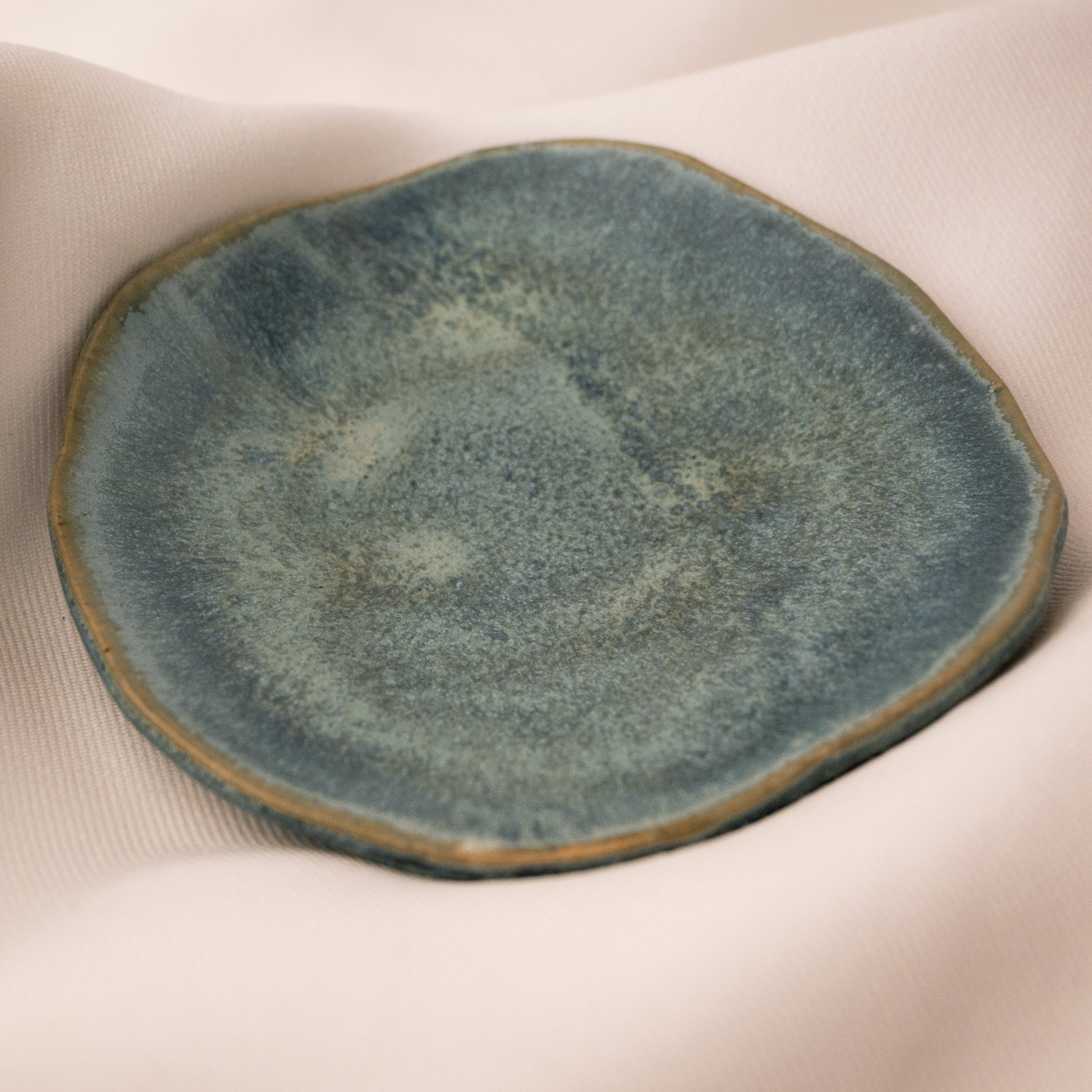 Heidi Conrod, Dish-3