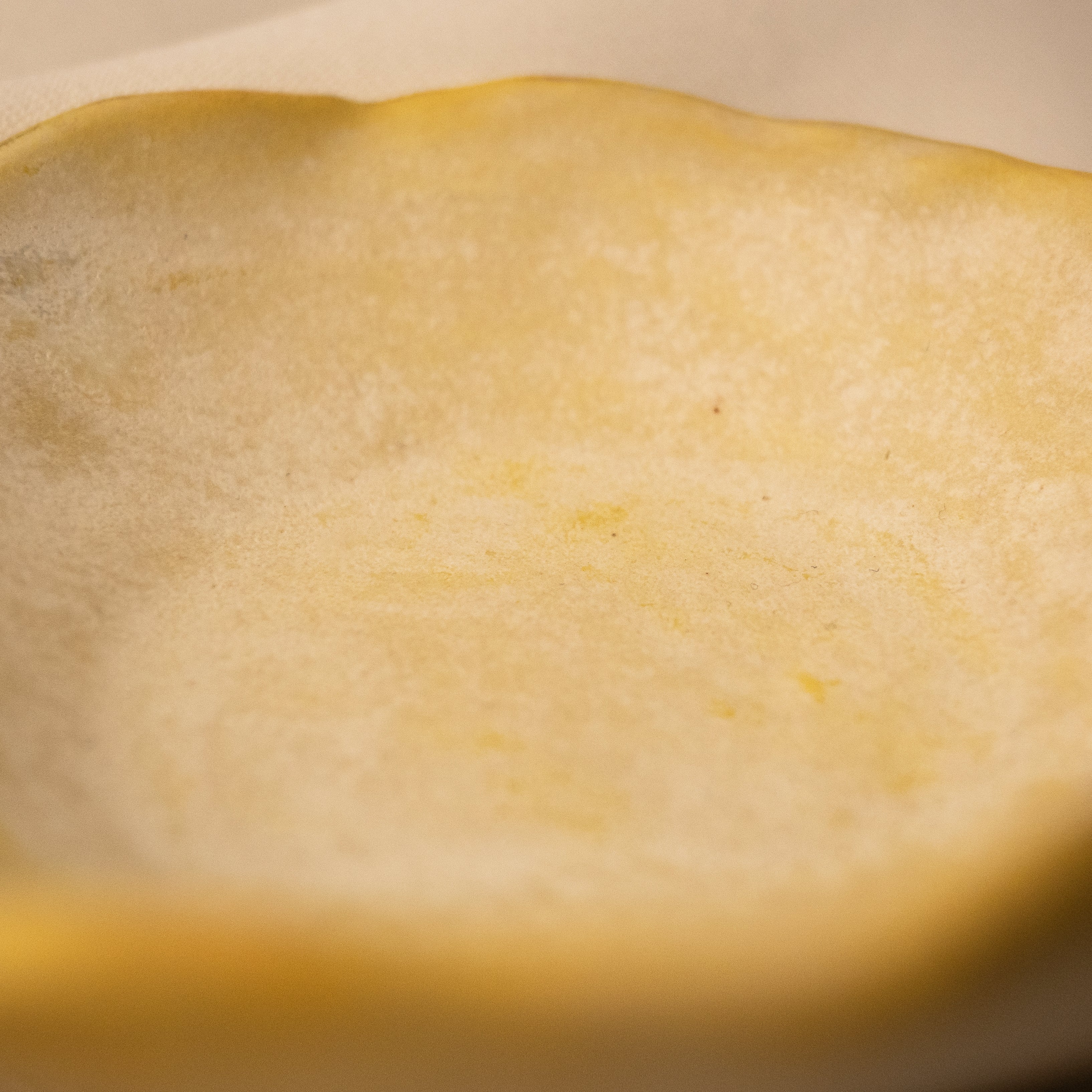 Heidi Conrod, Dish-3