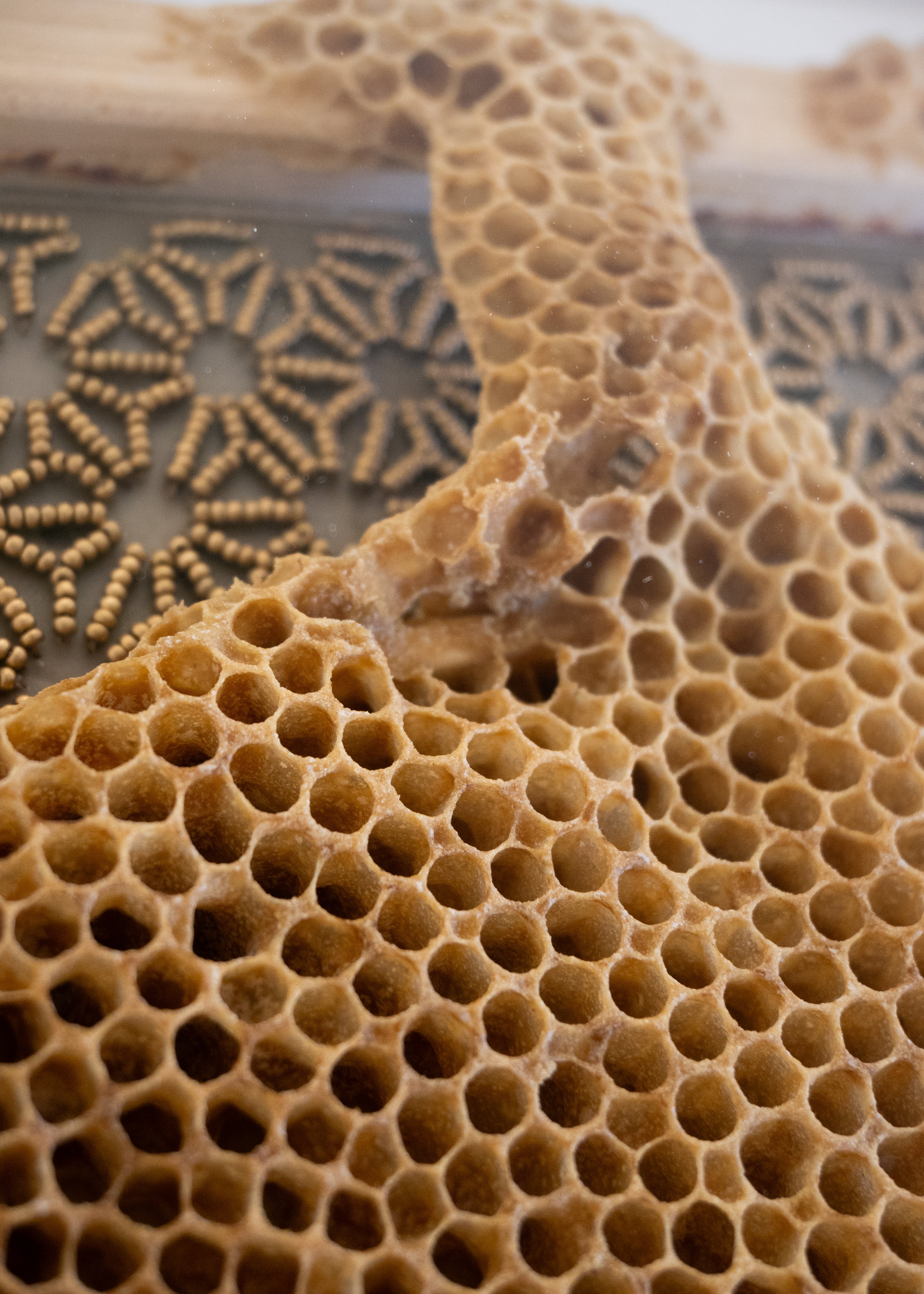 Ava Roth, Beaded Circles, Taupe