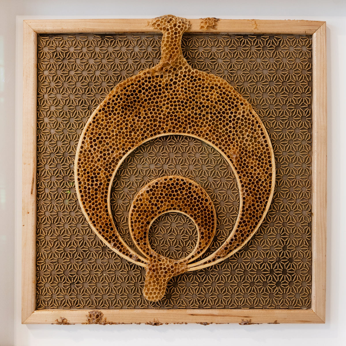 Ava Roth, Beaded Circles, Taupe-6