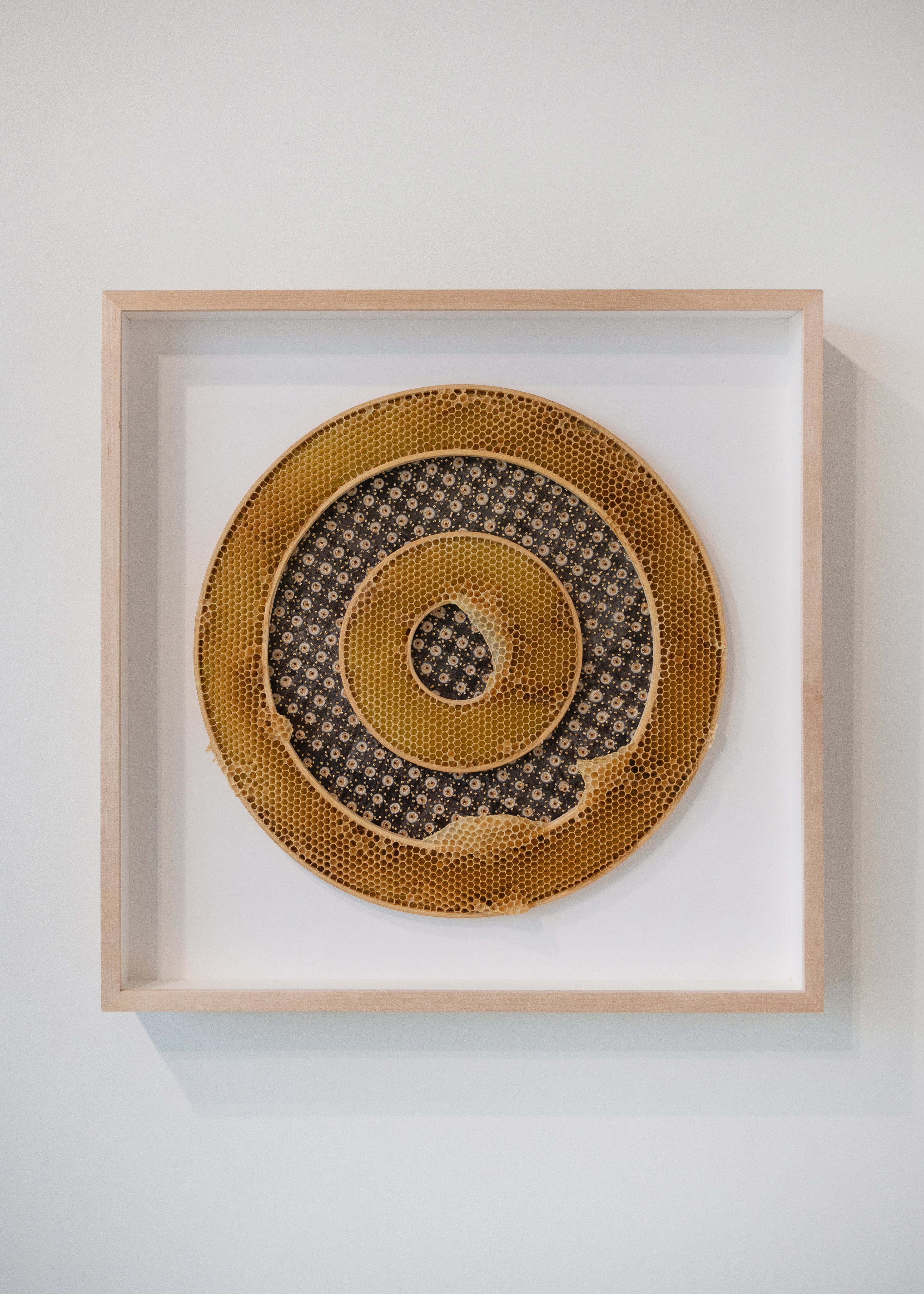 Ava Roth, Beaded Circles, Brown and Gold-1