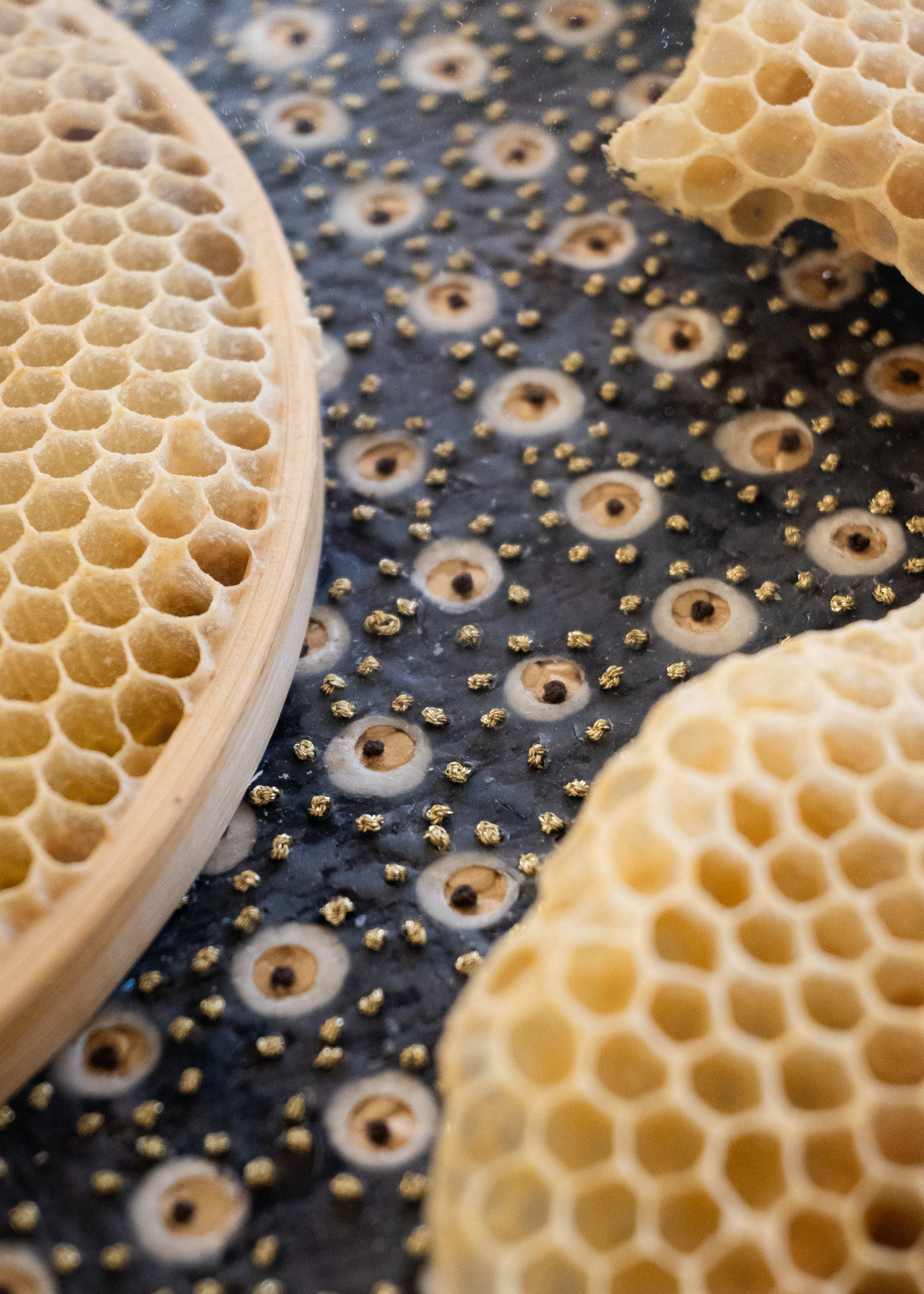 Ava Roth, Beaded Circles, Brown and Gold-2