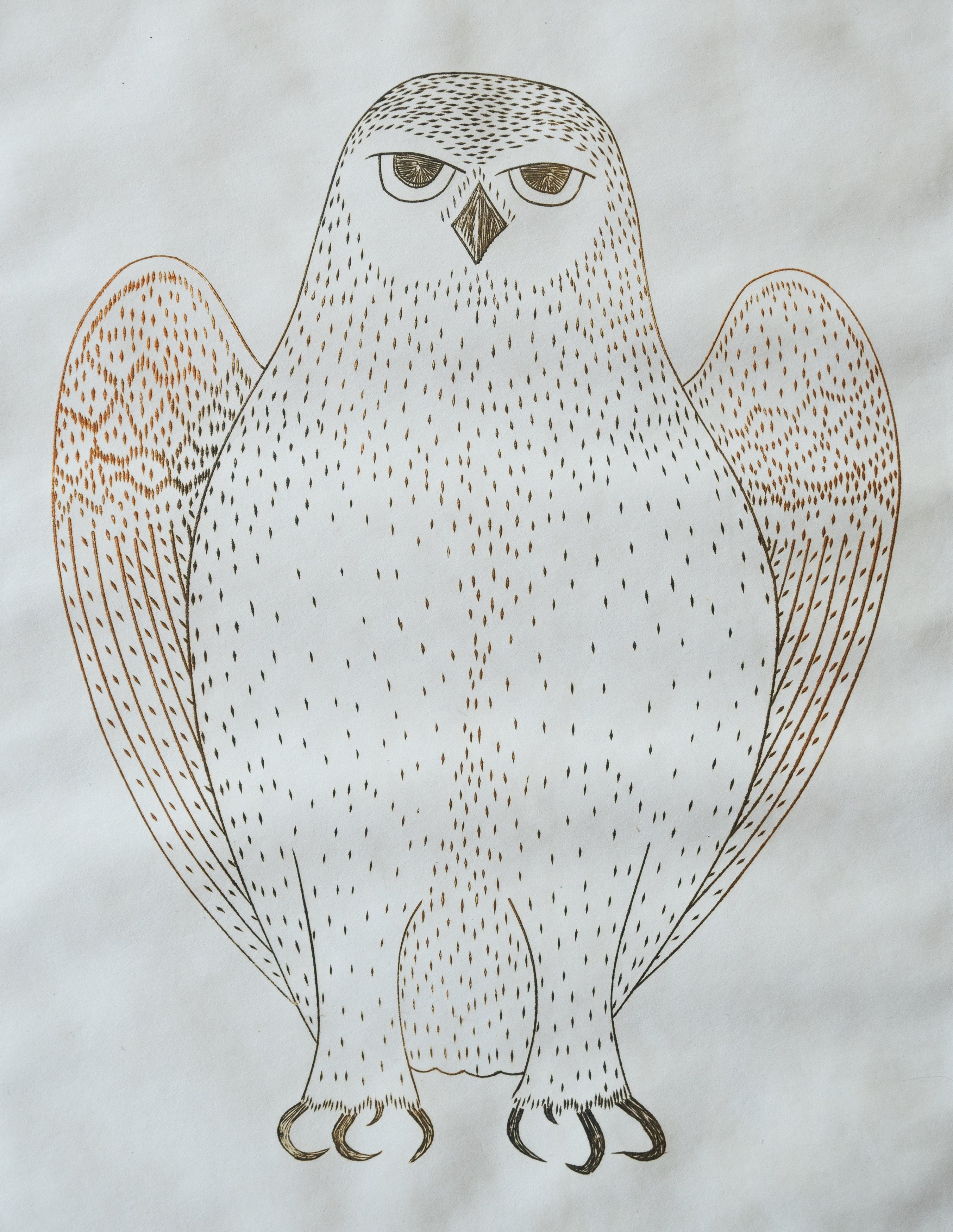 Owl, Kananginak Pootoogook (Inuit, Kinngait)-2