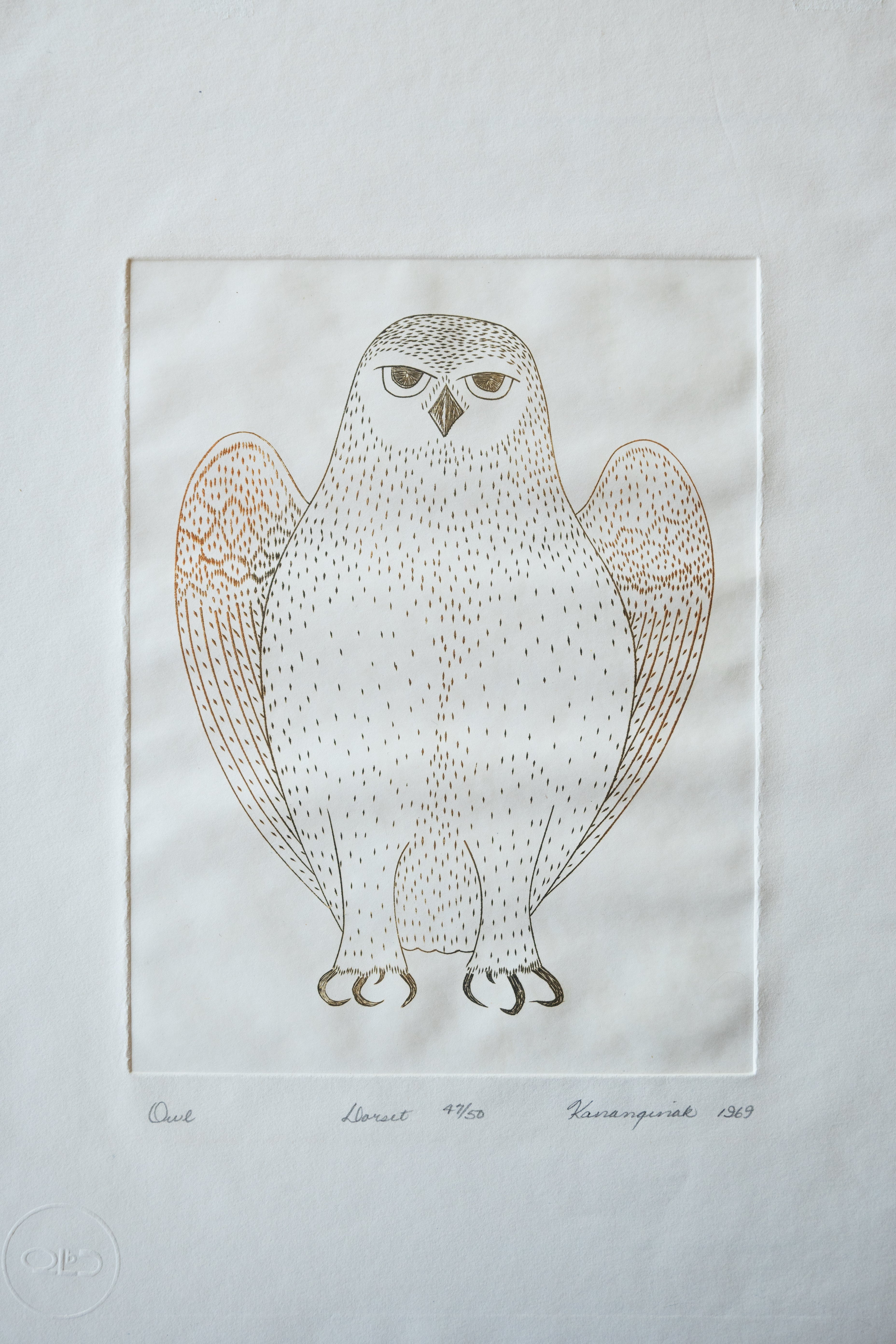 Owl, Kananginak Pootoogook (Inuit, Kinngait)-1