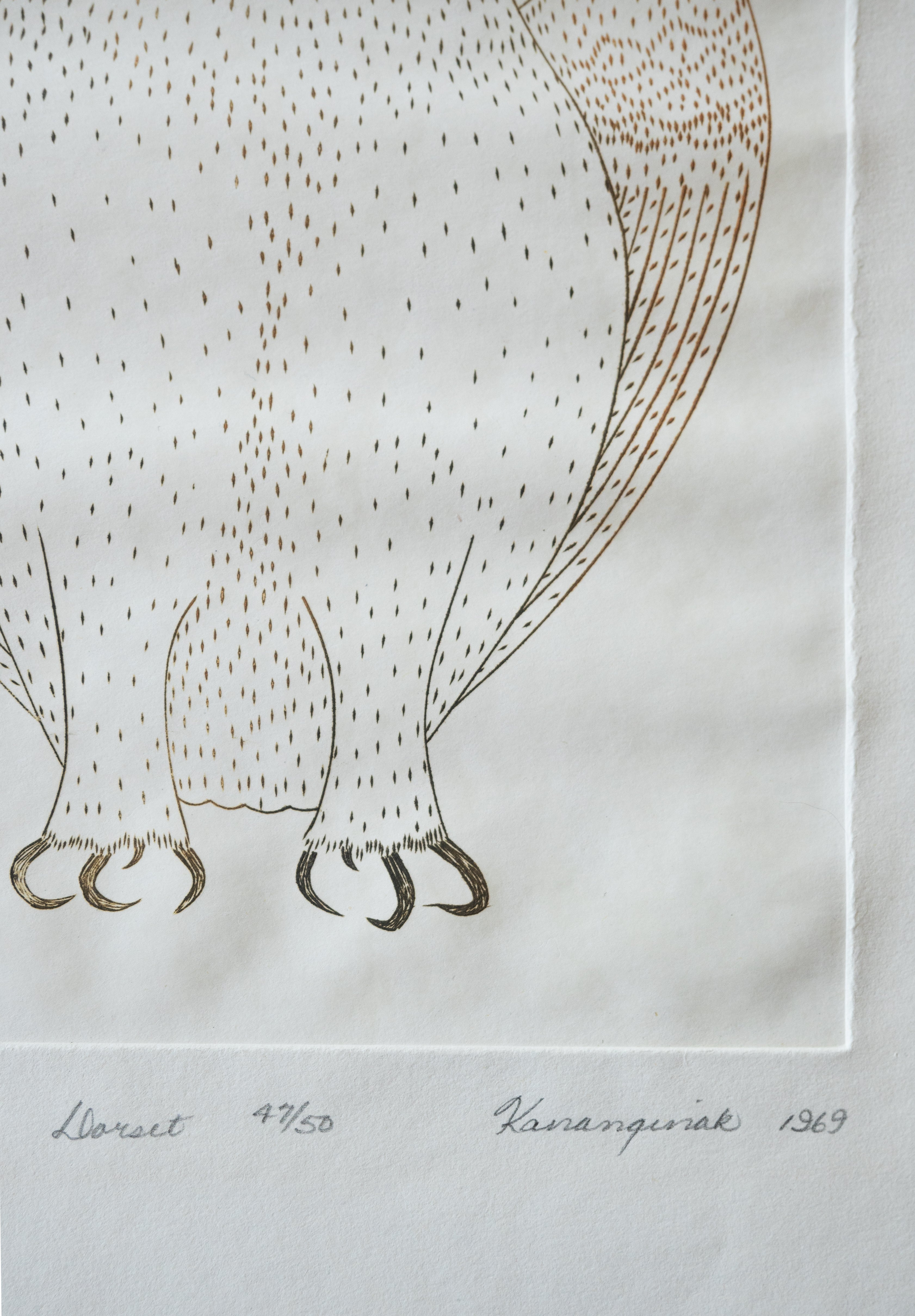 Owl, Kananginak Pootoogook (Inuit, Kinngait)-3