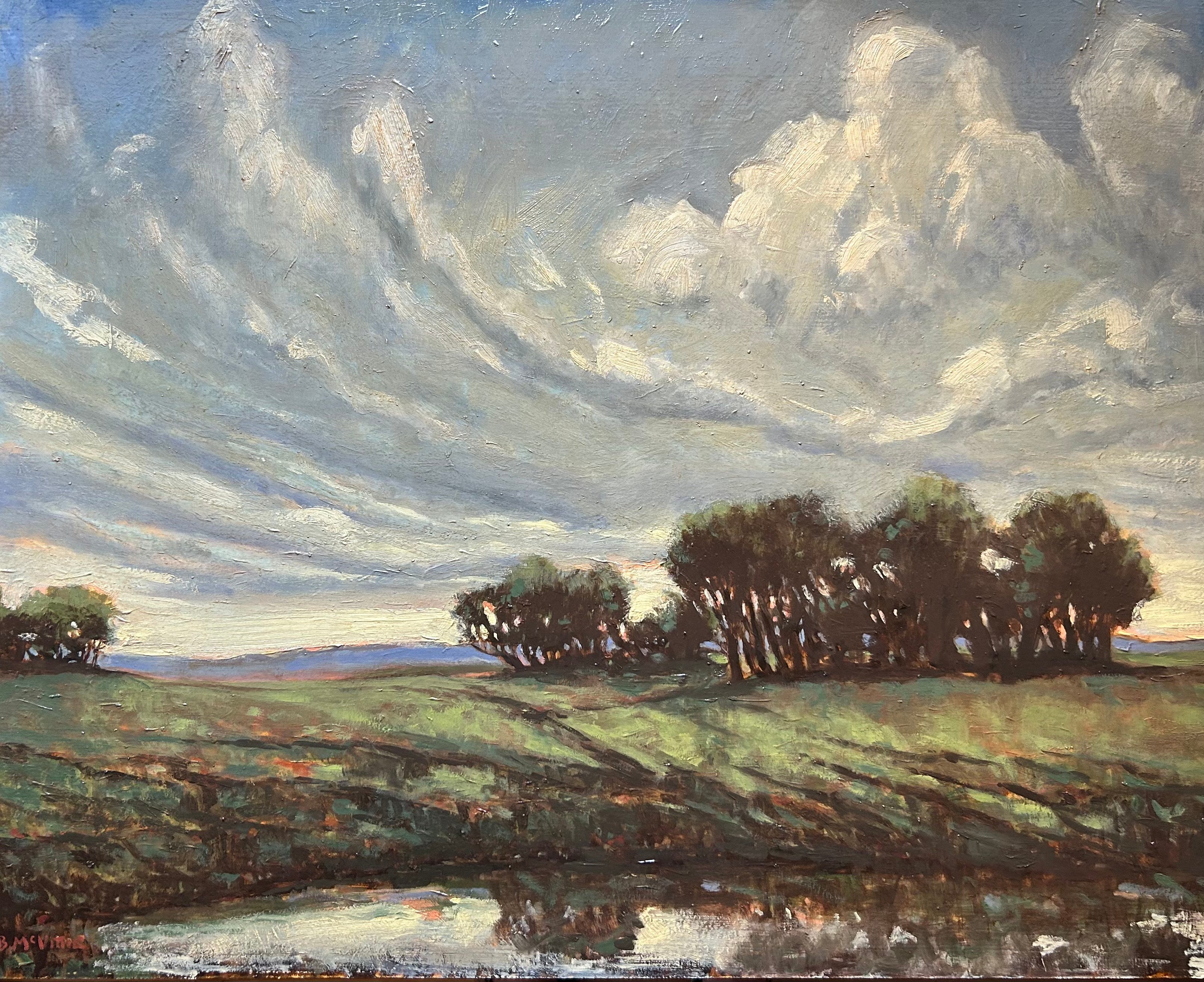 Brandon McVittie, Departed Rain