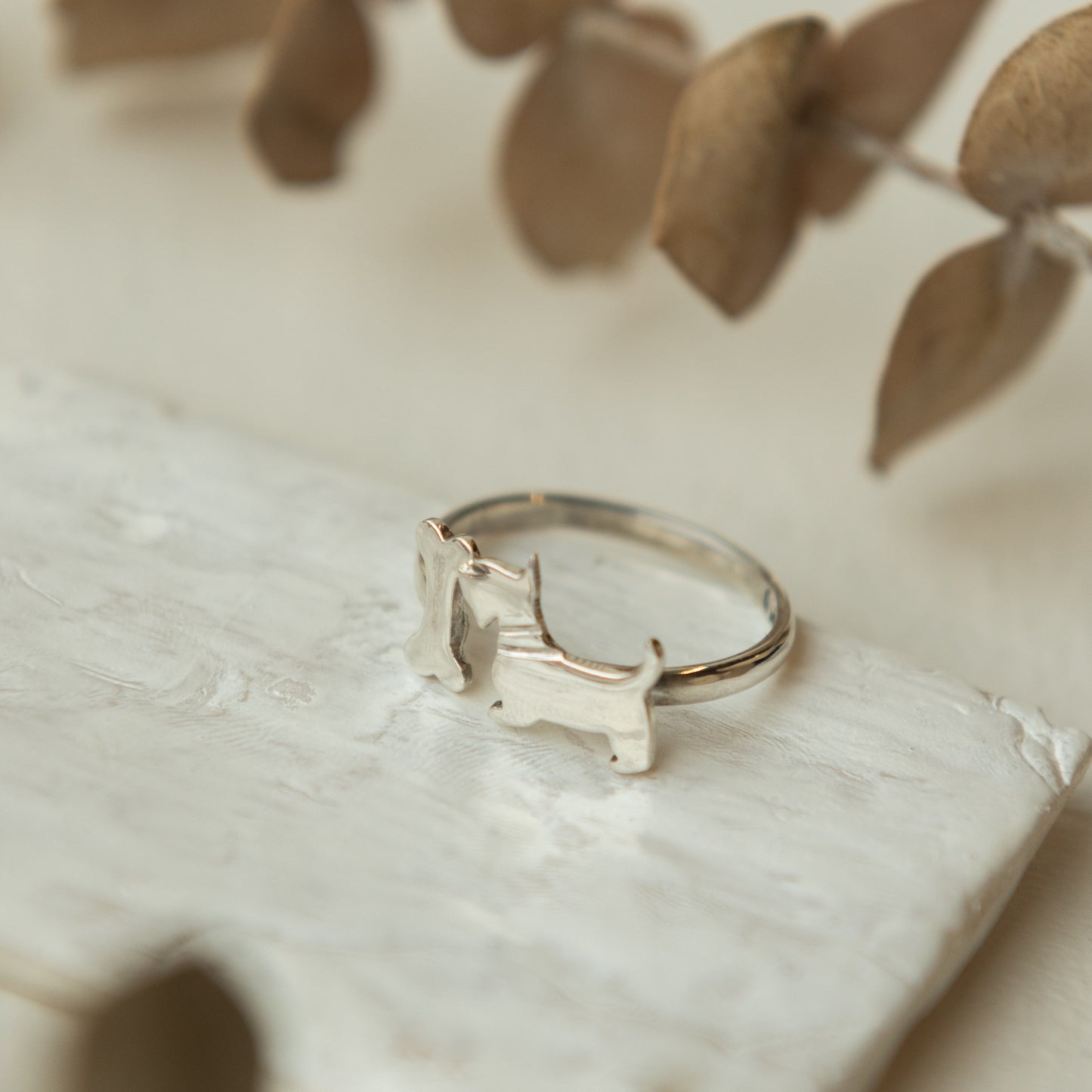 Alexandra Temple, Dog Ring