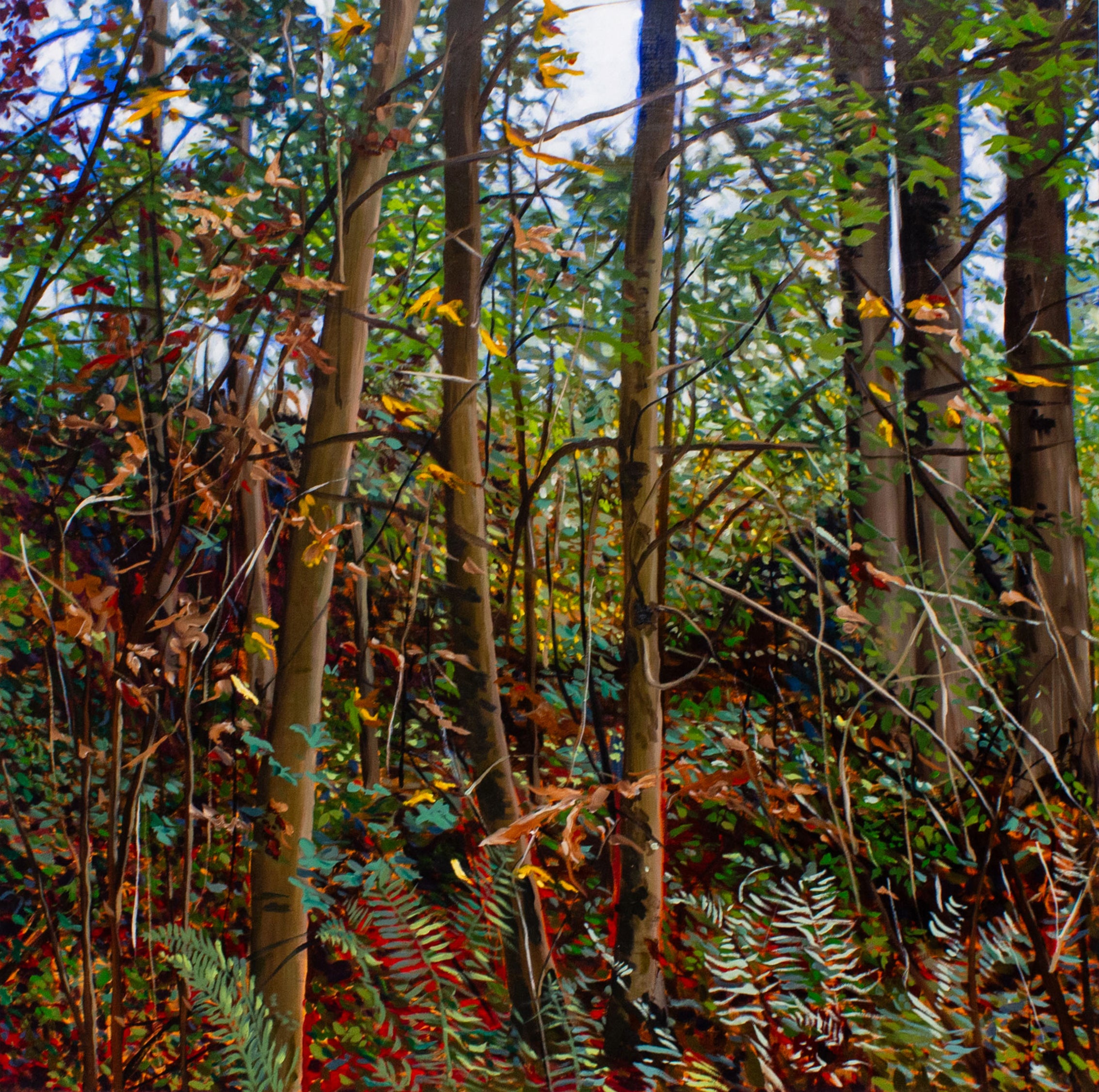 Stephanie Taylor, Fall II