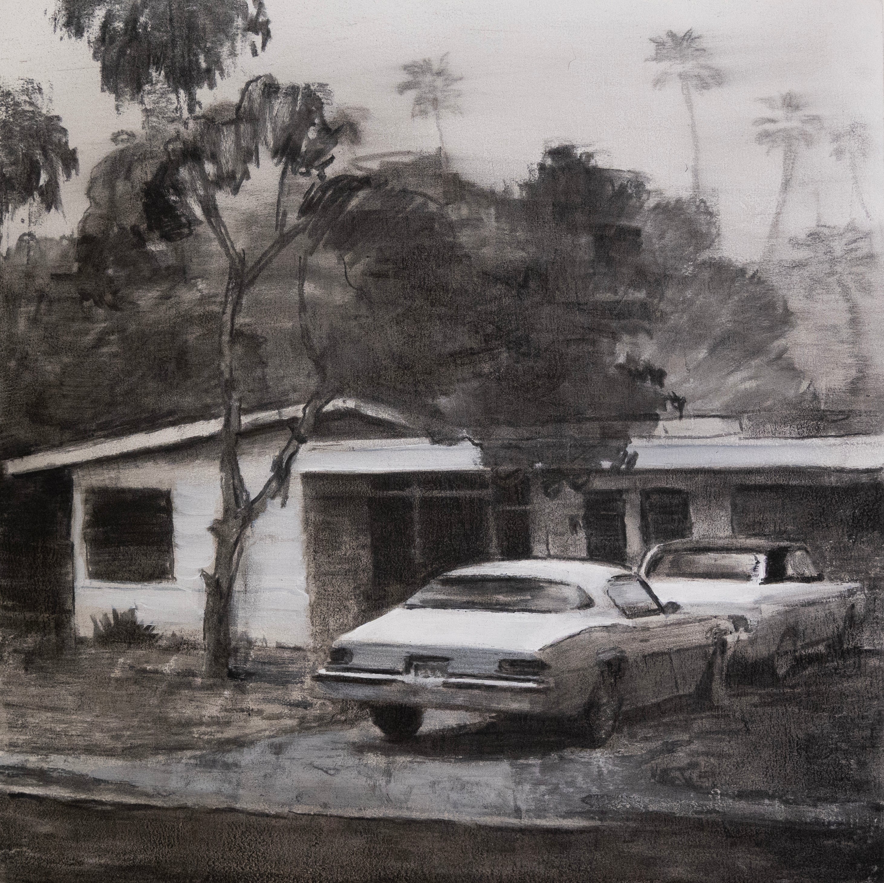 Andrew Beck, Fire Bird