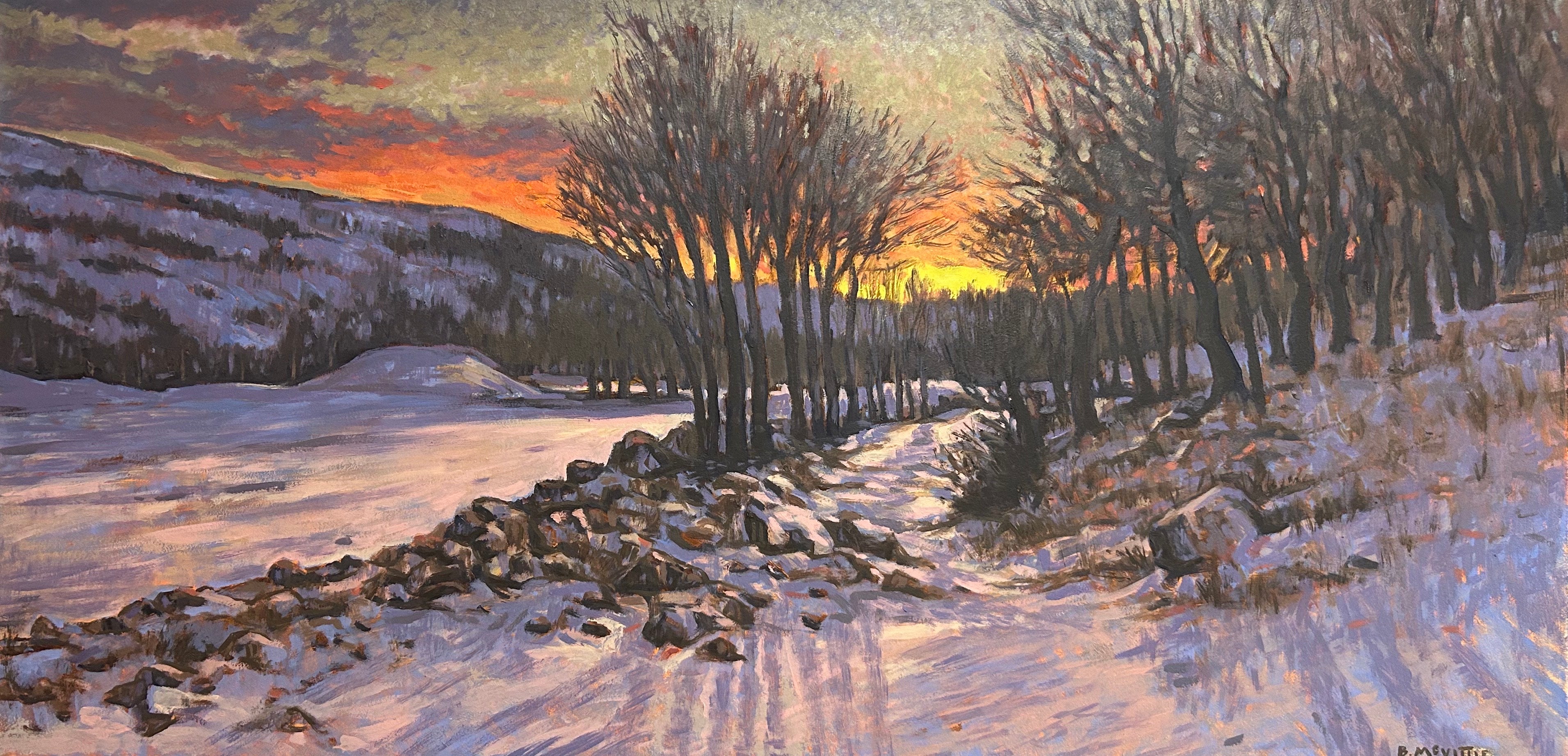 Brandon McVittie, Fire and Ice