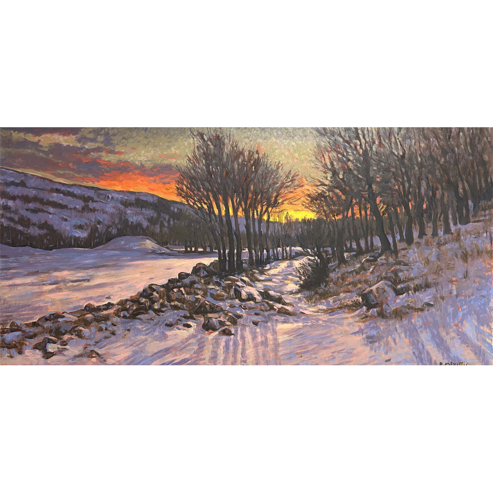 Brandon McVittie, Fire and Ice-3