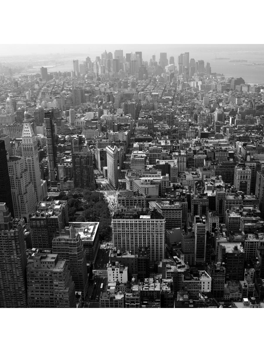 Jordan Craig, Flat Iron and Lower Manhattan-1