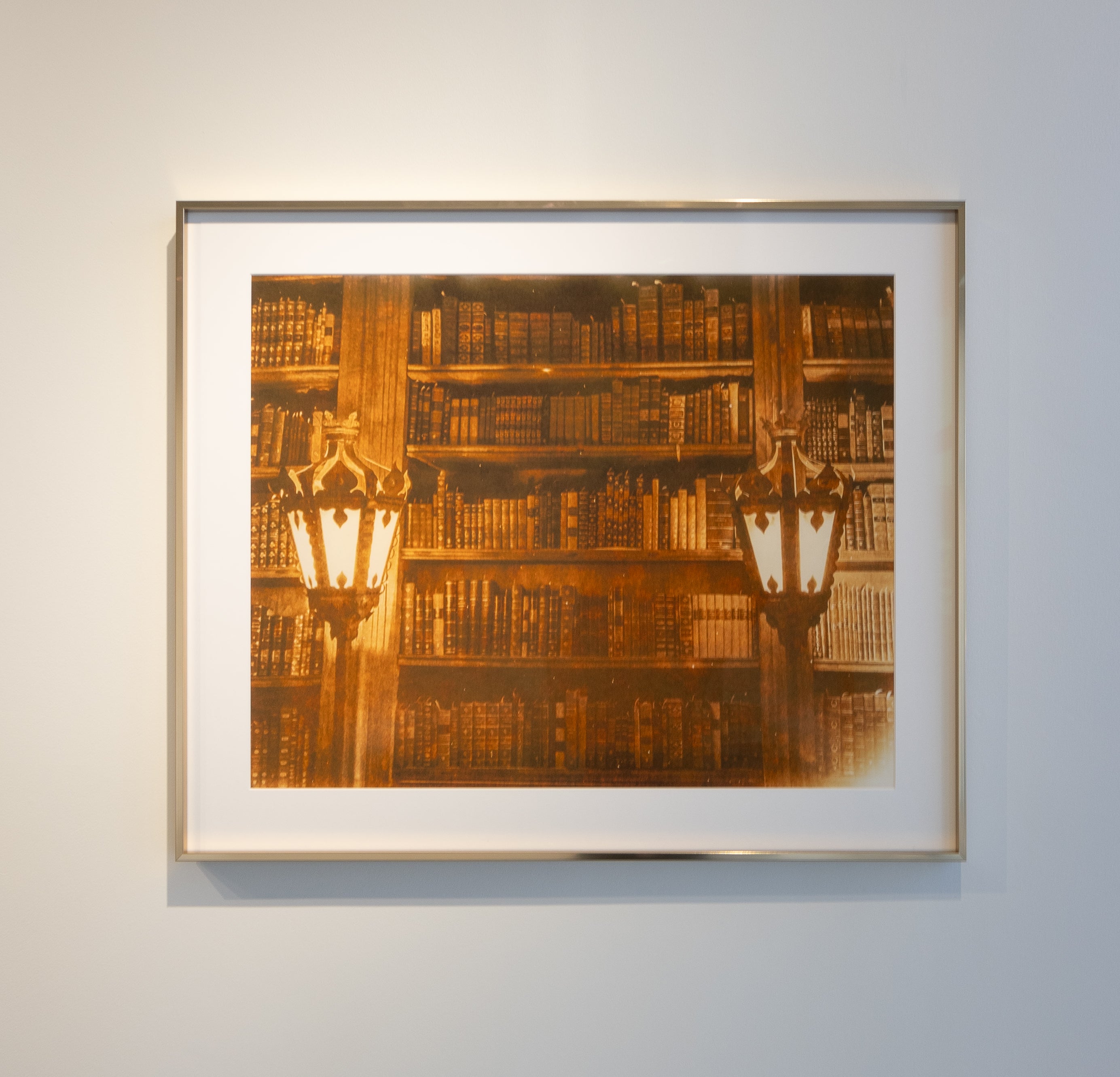 Joy Kardish, The Library