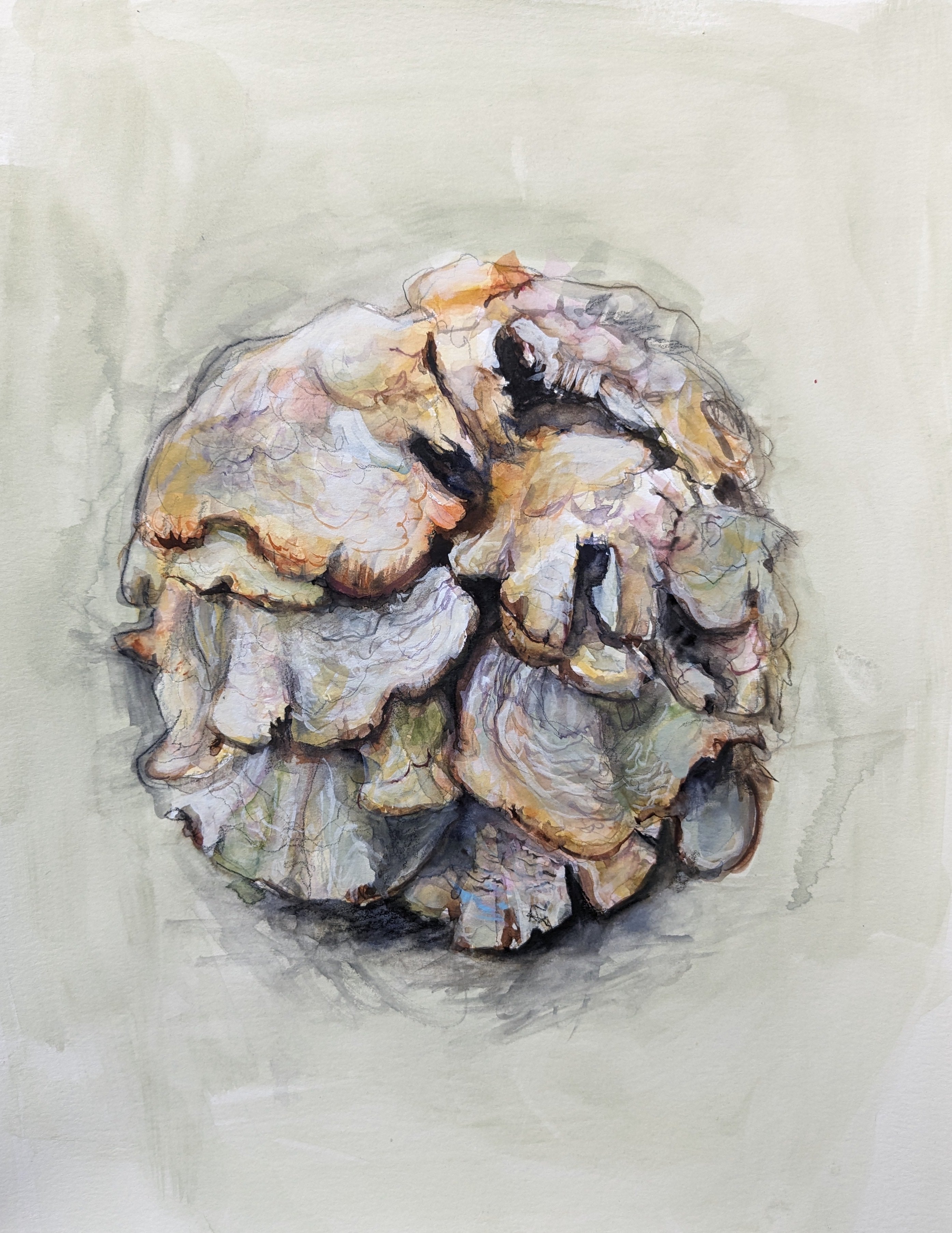 Gabrielle Madore, Fungal Globe