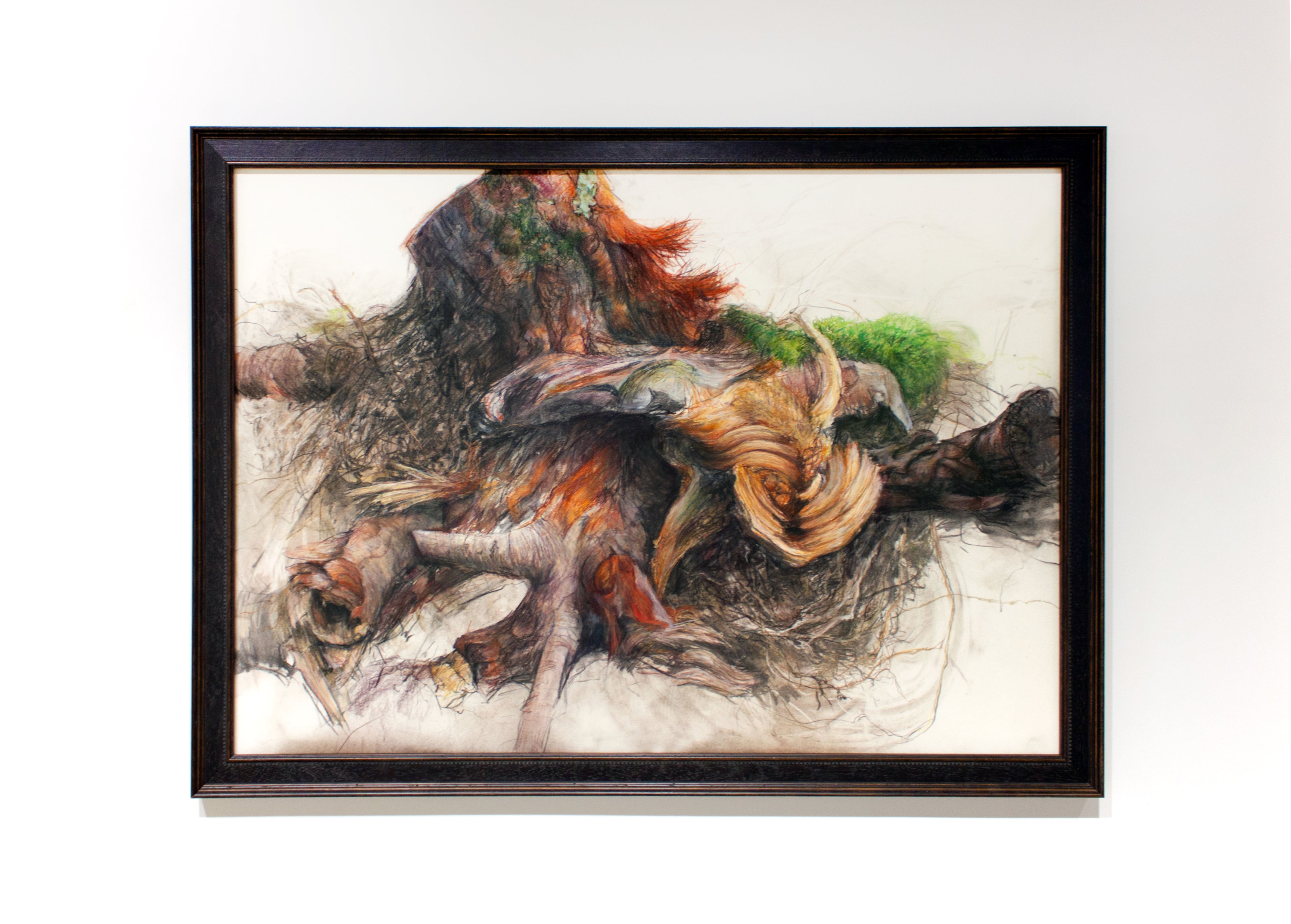 Gabrielle Madore, Chopped Stump on Ennis Road-3