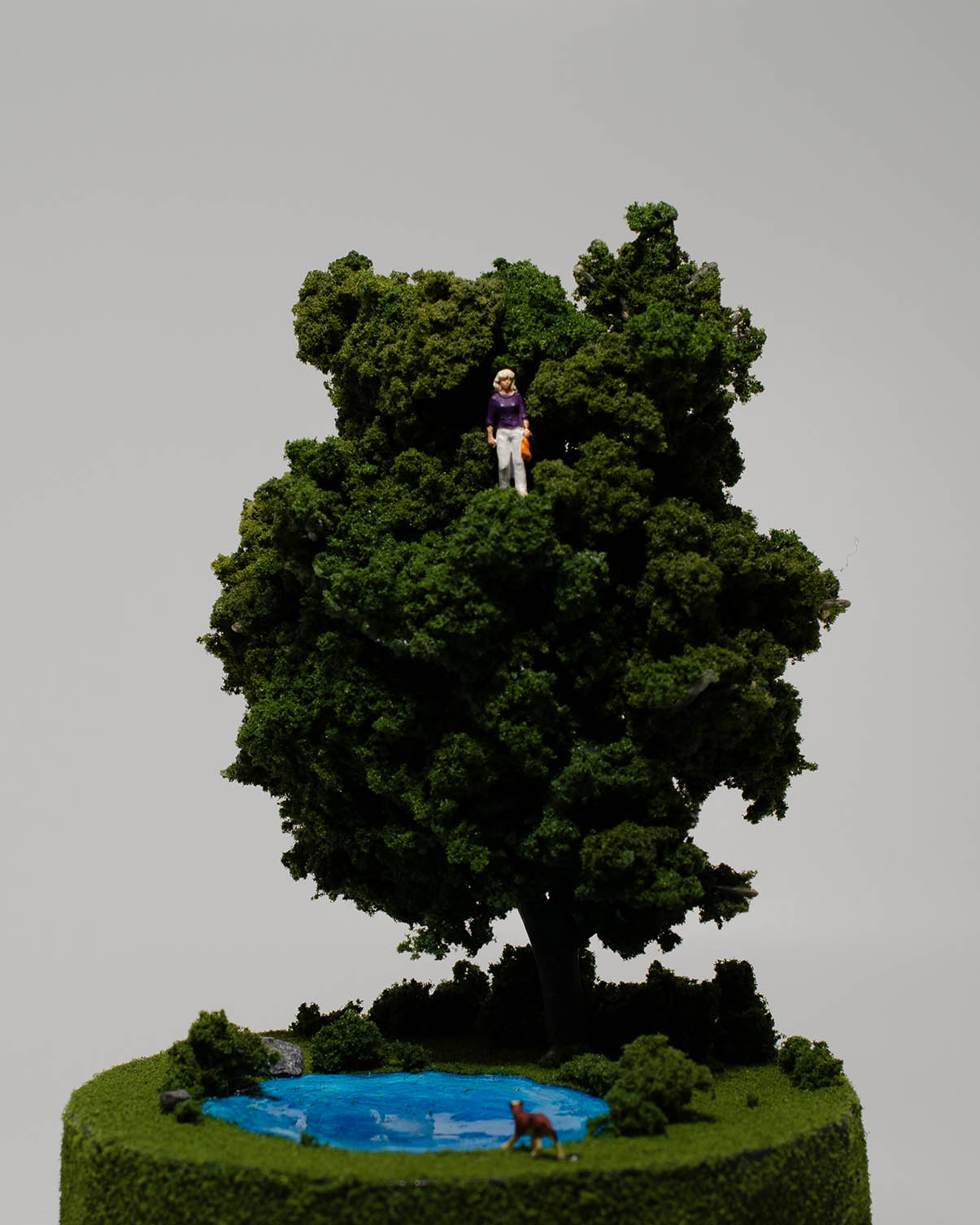 Patti Normand, Lost