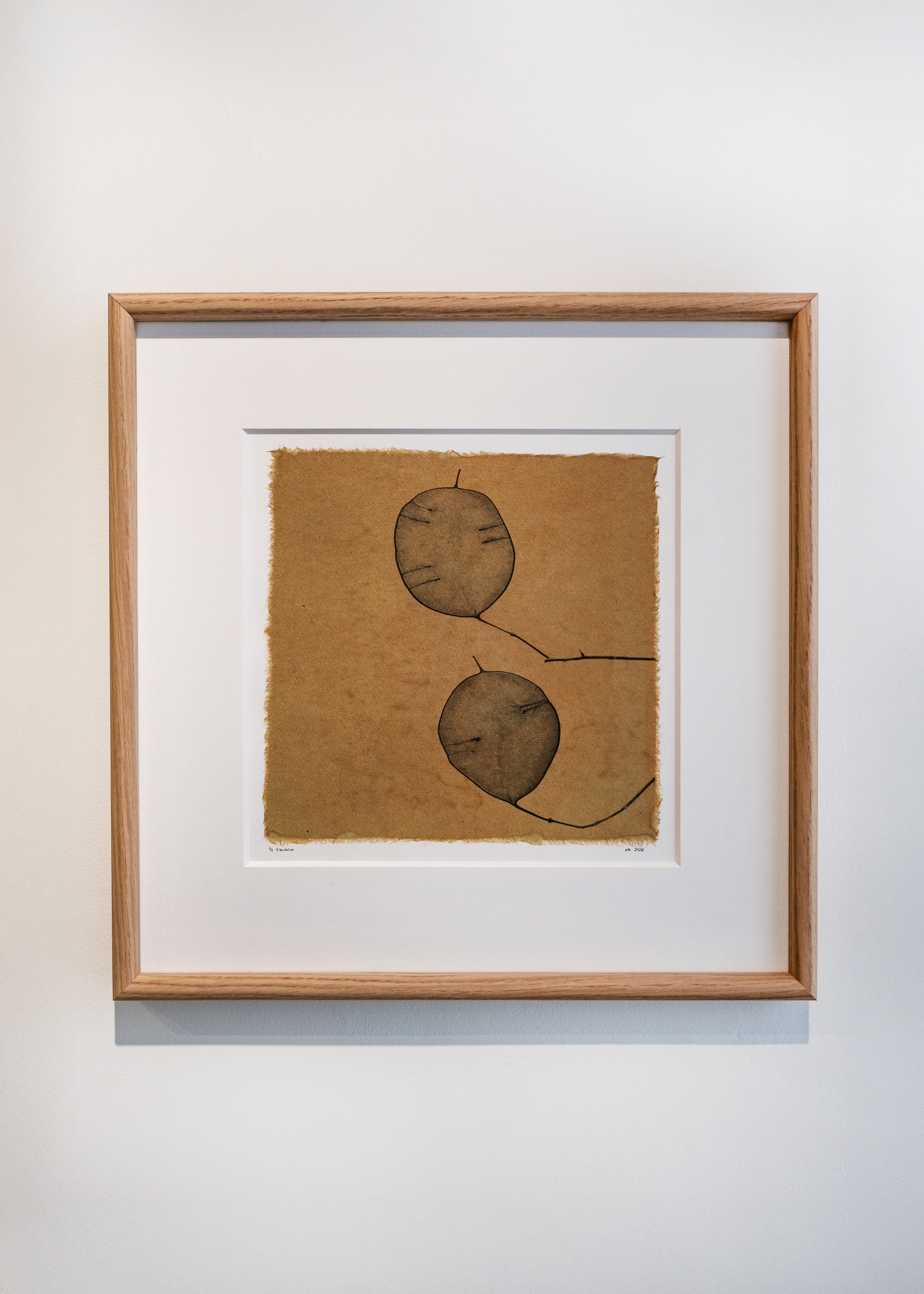Kelly McDonald, Lunaria