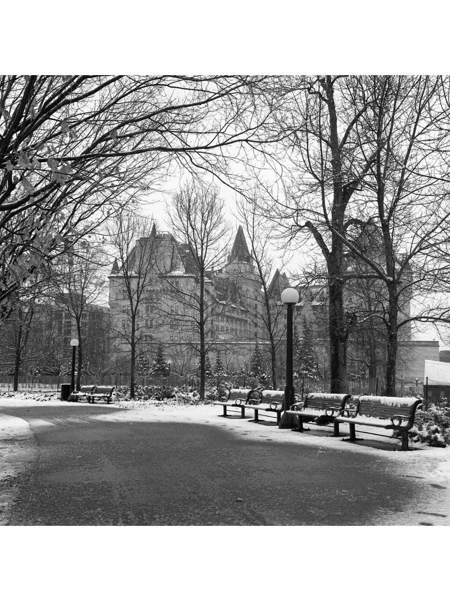 Jordan Craig, Major's Hill Park-1